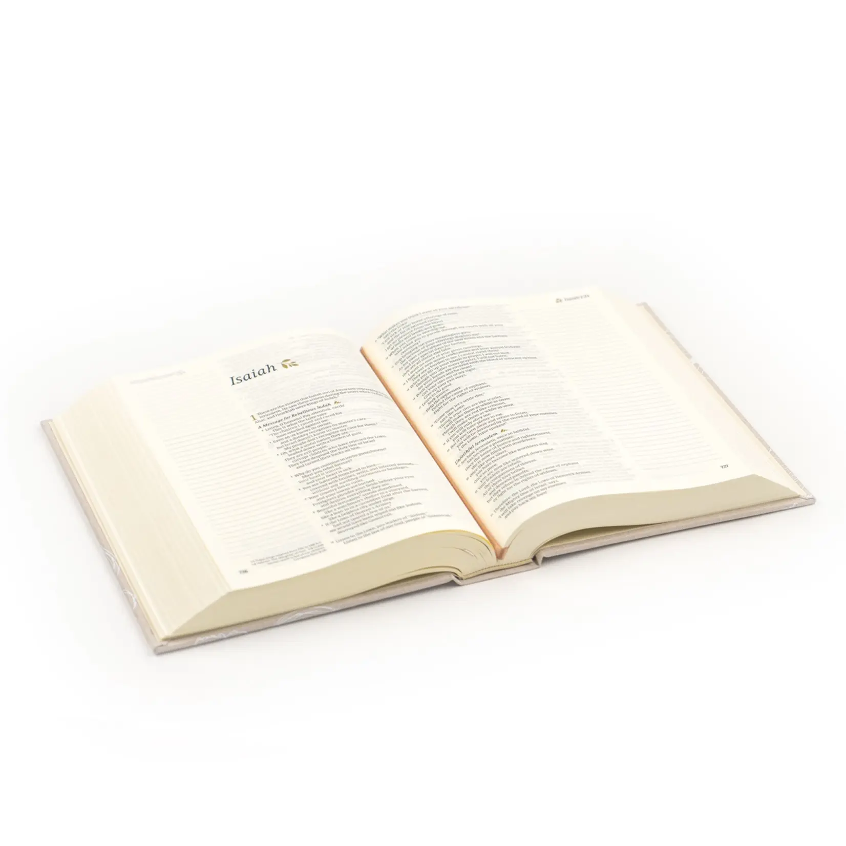 Nlt Notetaking Bible : Cordova Theme