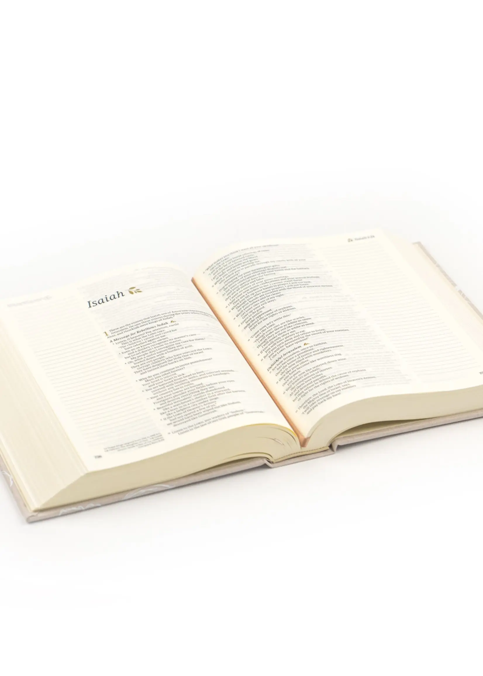 Nlt Notetaking Bible : Cordova Theme