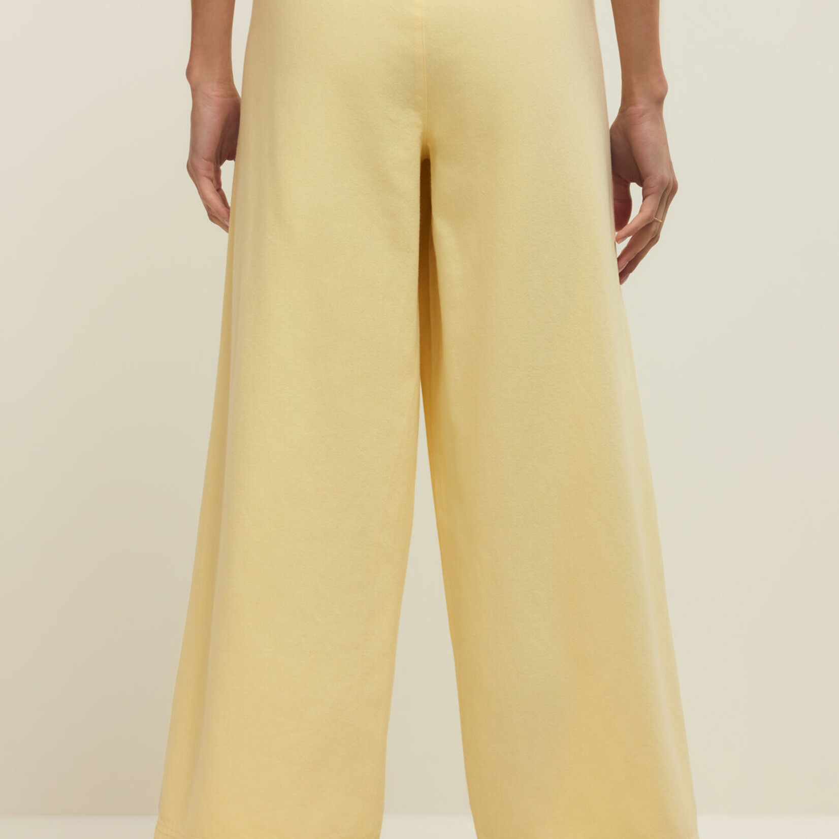 Z Supply Daycation Pant