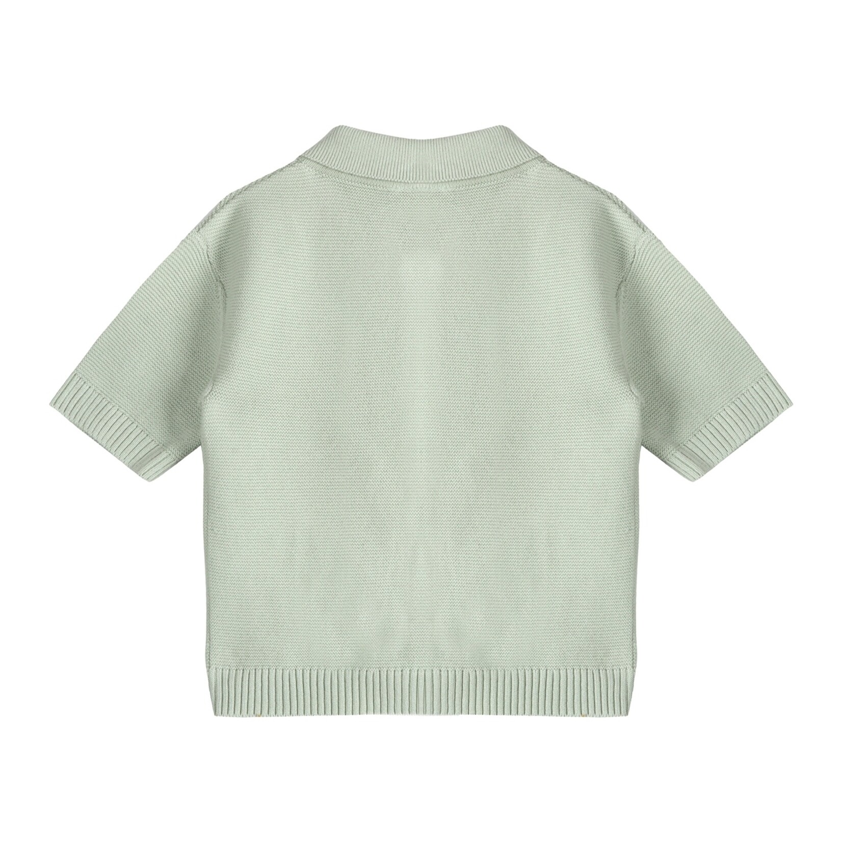 Palm Trees Embroidered Baby Shirt & Shorts Set (Organic)