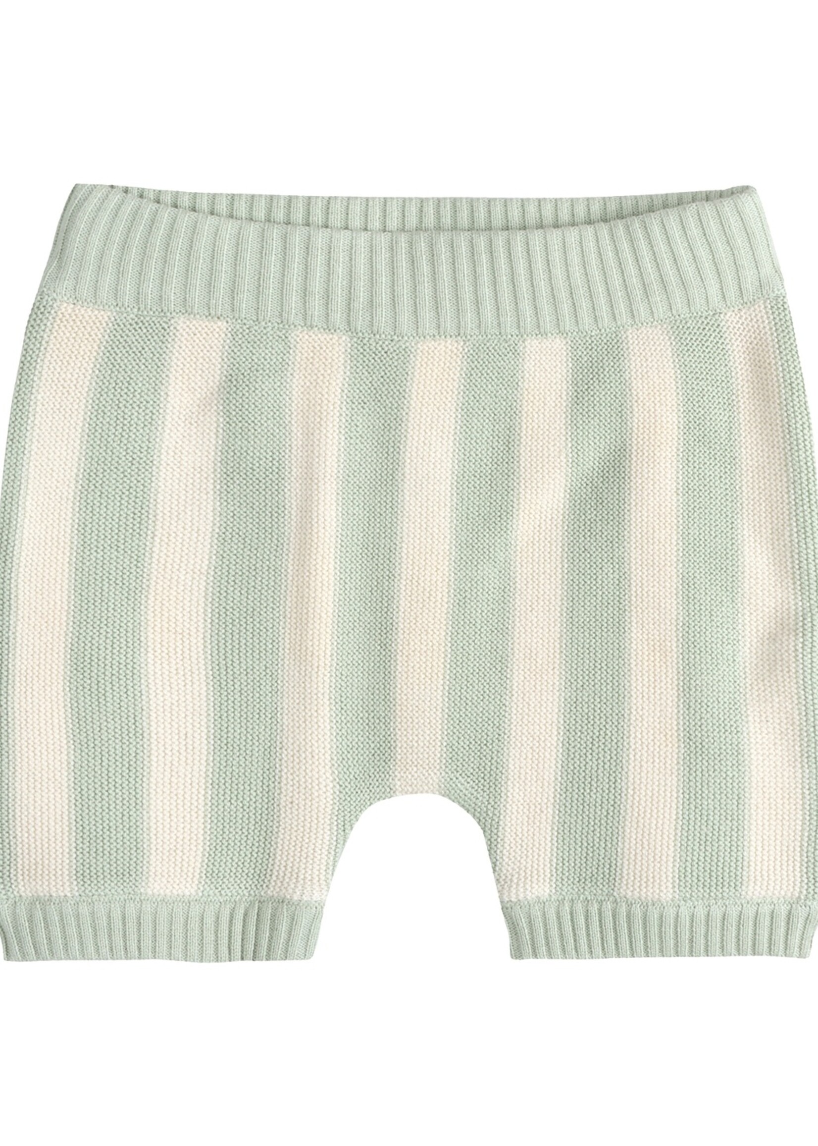 Palm Trees Embroidered Baby Shirt & Shorts Set (Organic)