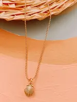 driftaway jewelry Shore Seashell Necklace