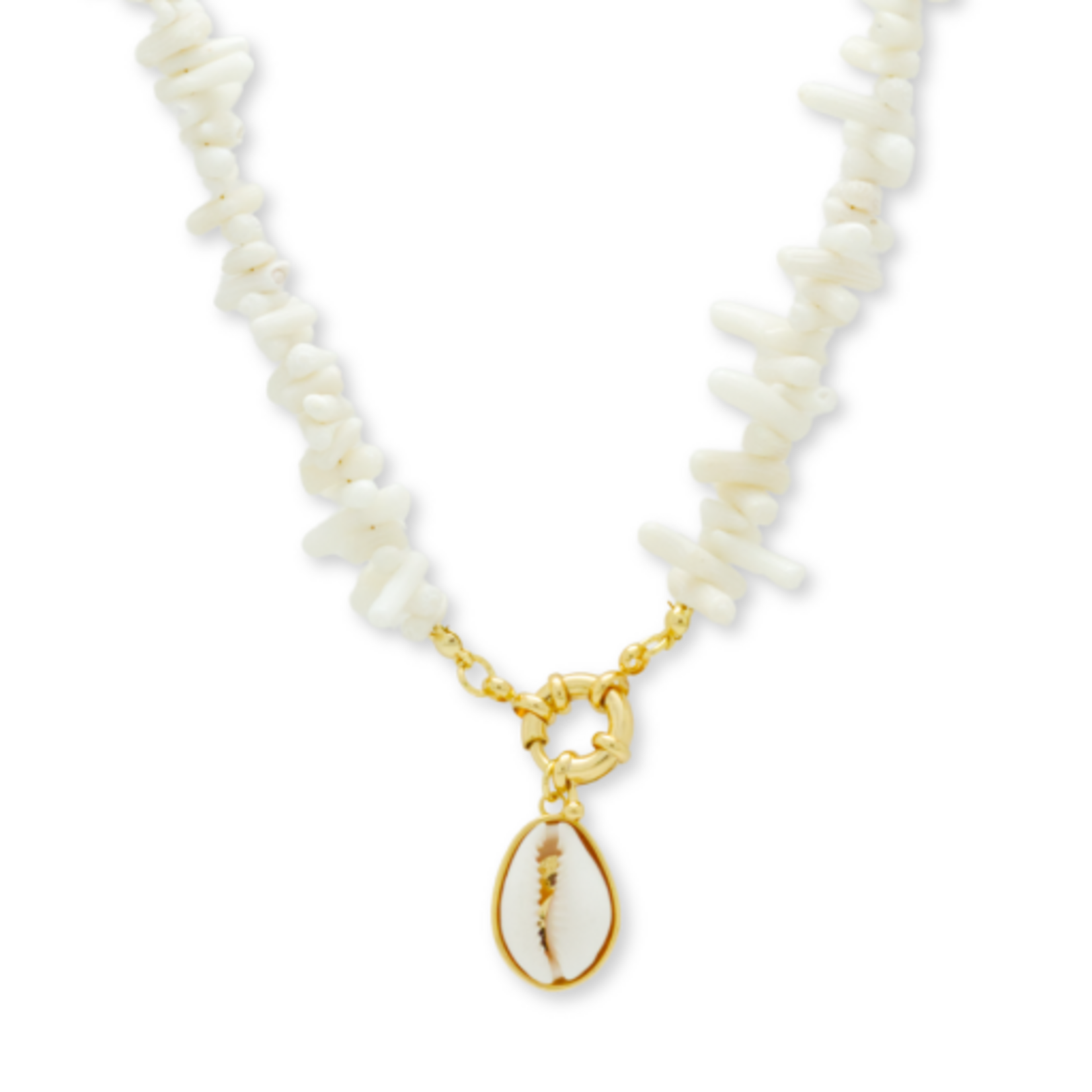 Salty Cali WAIMEA ~ SALTY SHELLS