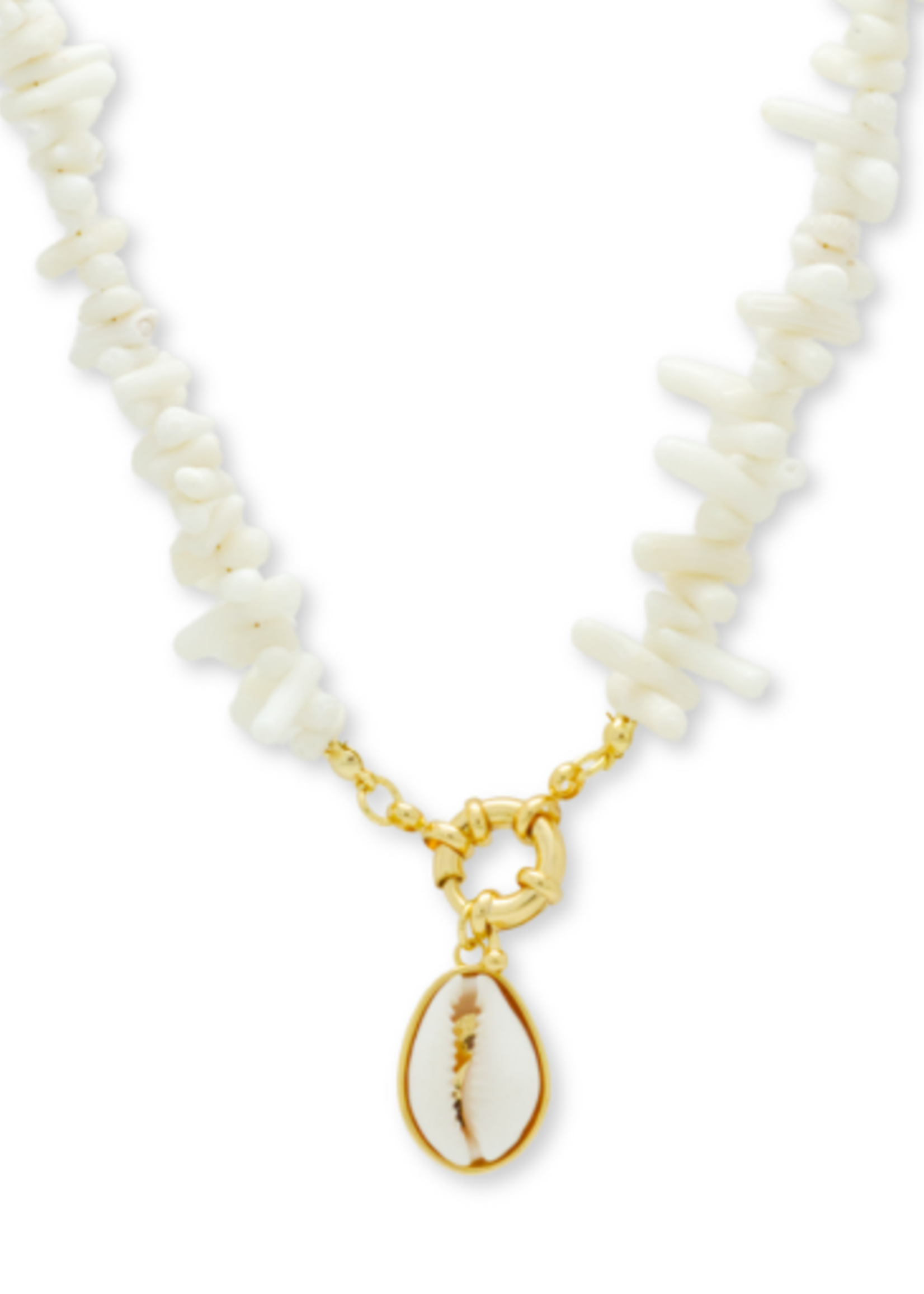 Salty Cali WAIMEA ~ SALTY SHELLS