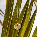Salty Cali BEACHY ~ SALTY PENDANTS