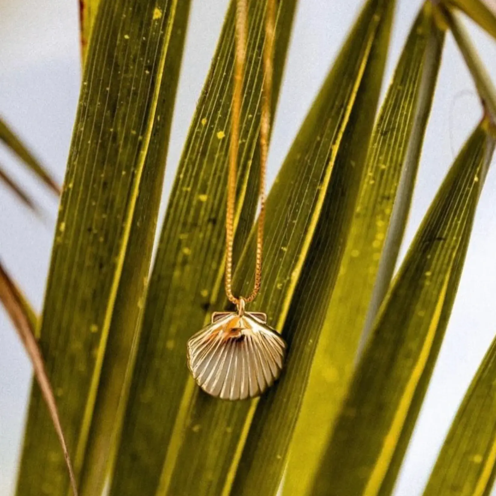 Salty Cali BEACHY ~ SALTY PENDANTS