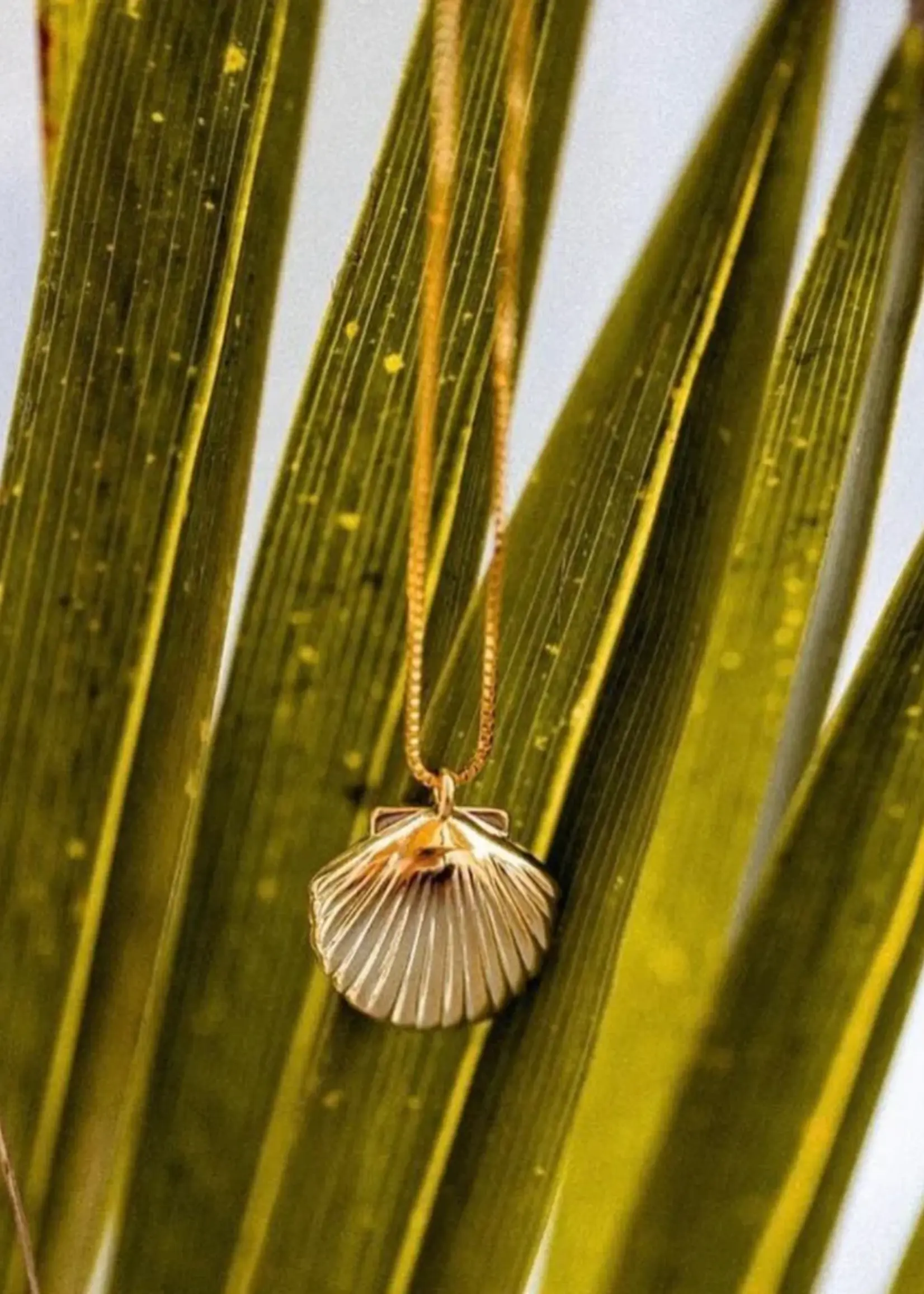 Salty Cali BEACHY ~ SALTY PENDANTS