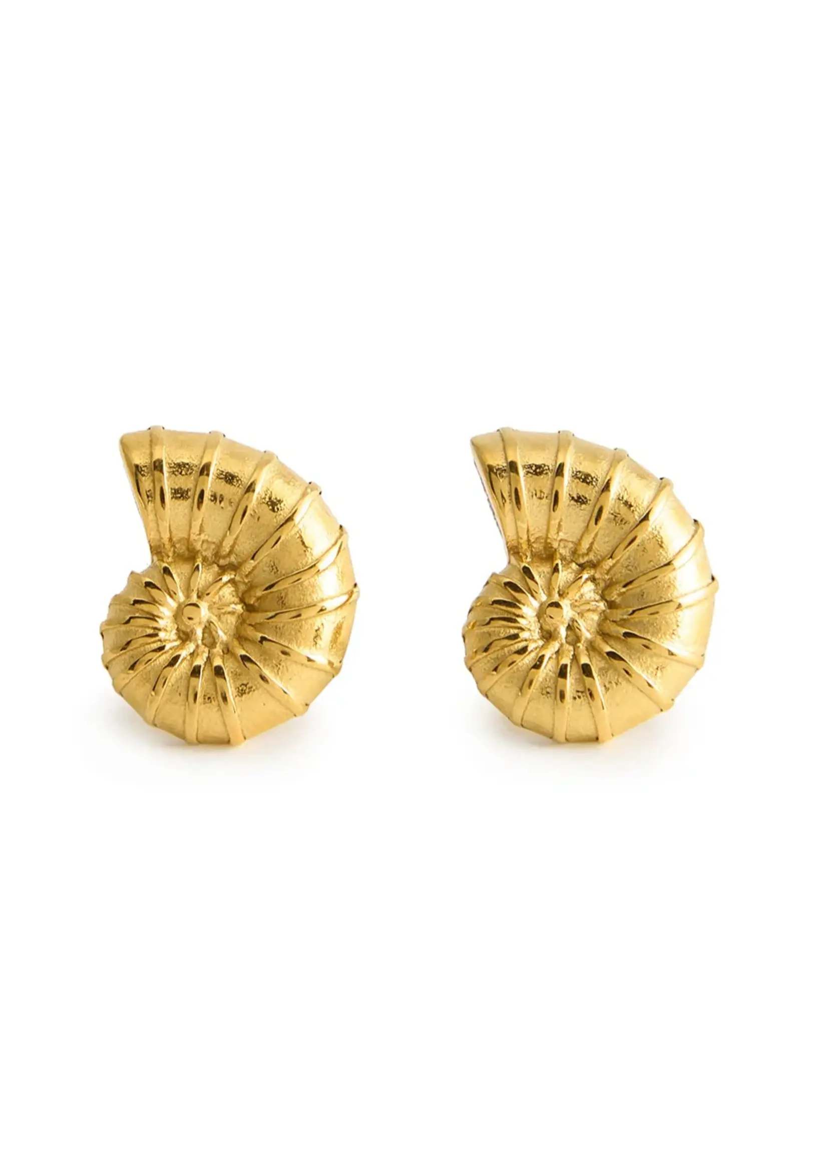 Salty Cali Ariel Shell Minis