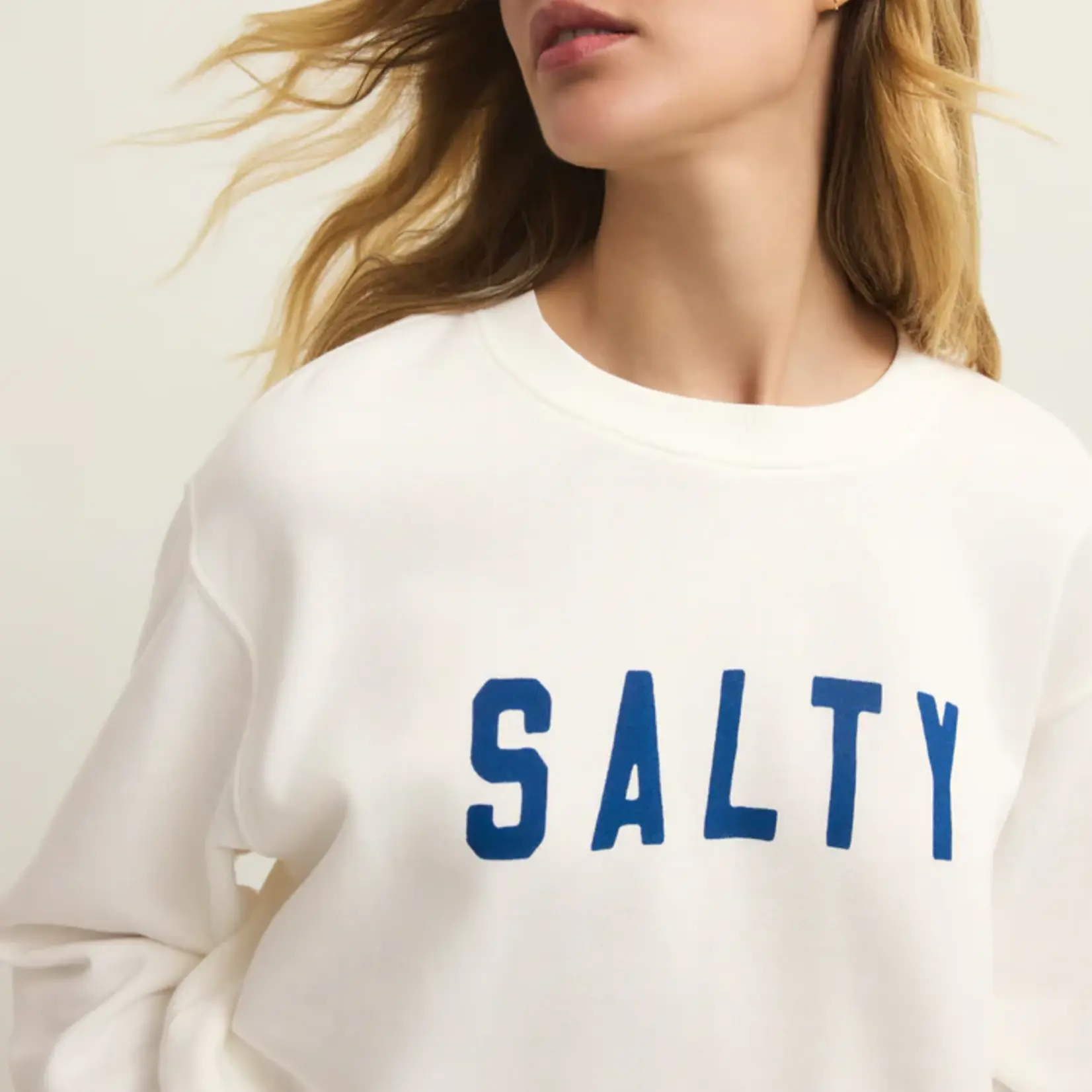 Z Supply Salty Boyfriend Sweatshirt