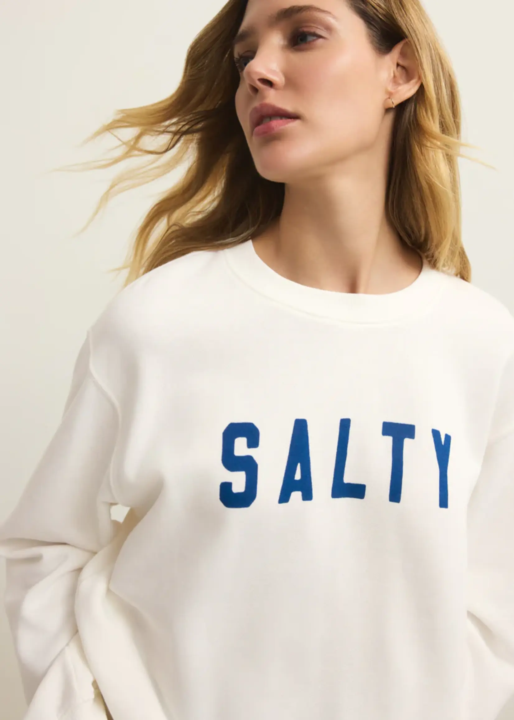 Z Supply Salty Boyfriend Sweatshirt