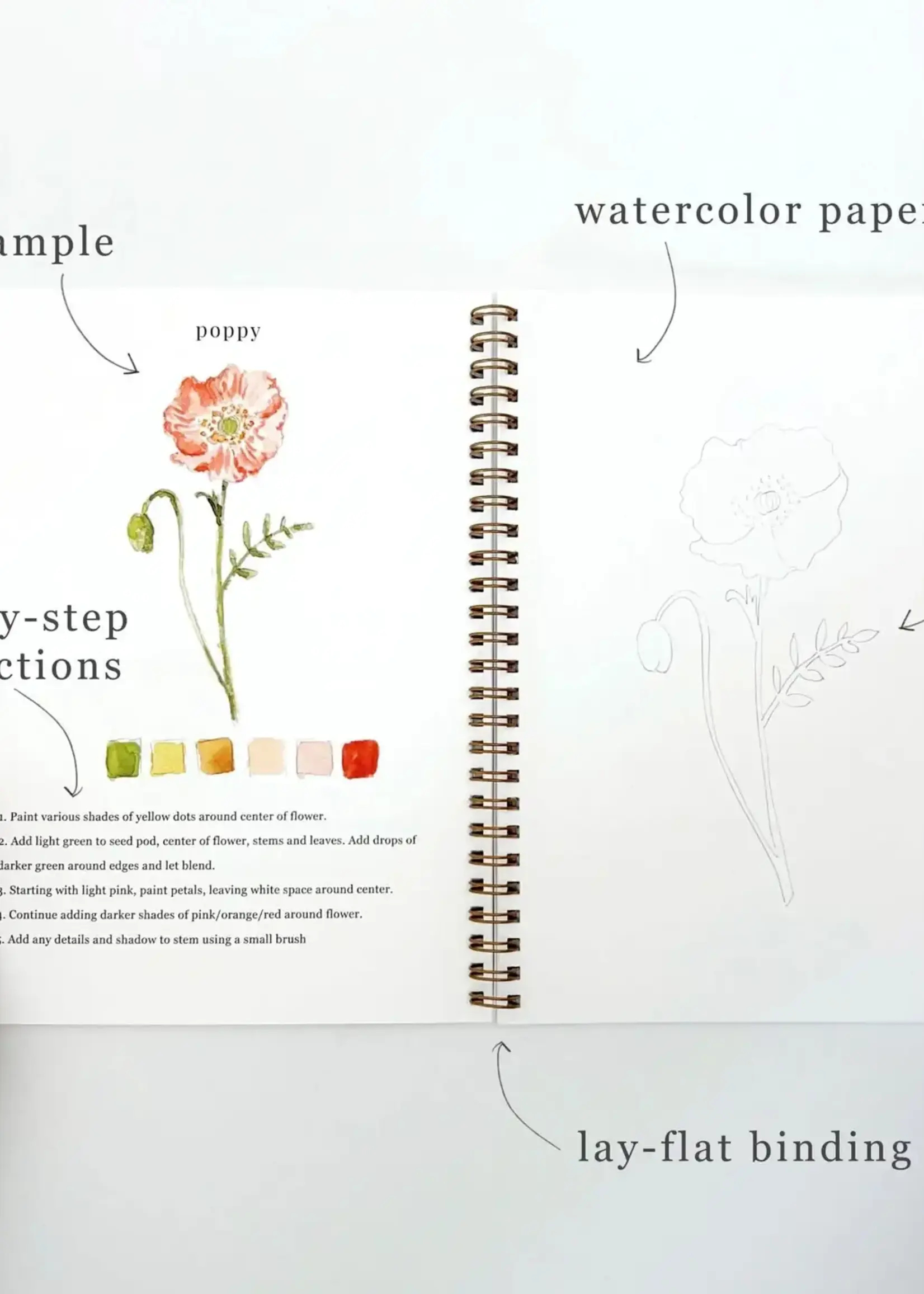 Flowers Watercolor Workbook
