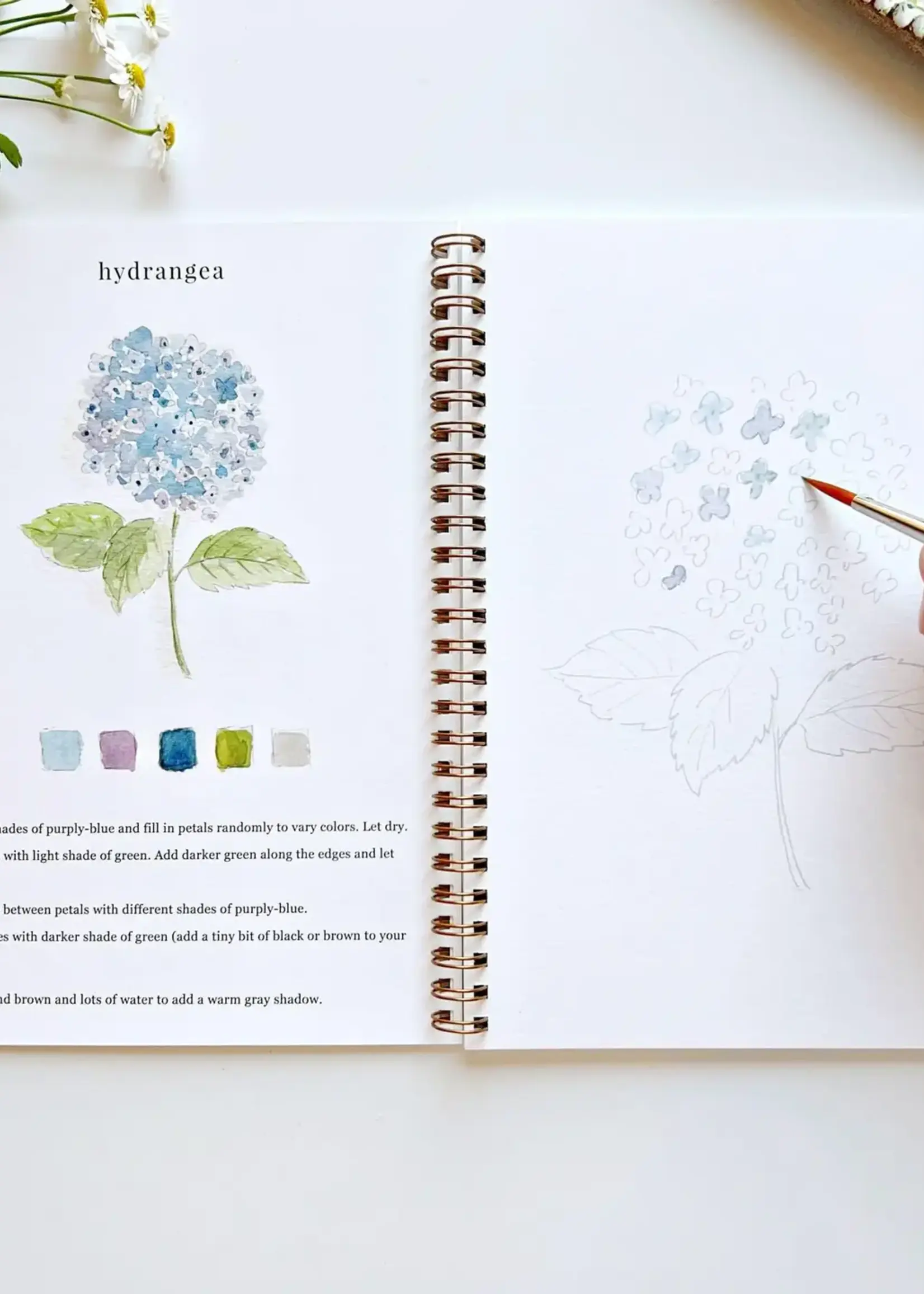 Flowers Watercolor Workbook