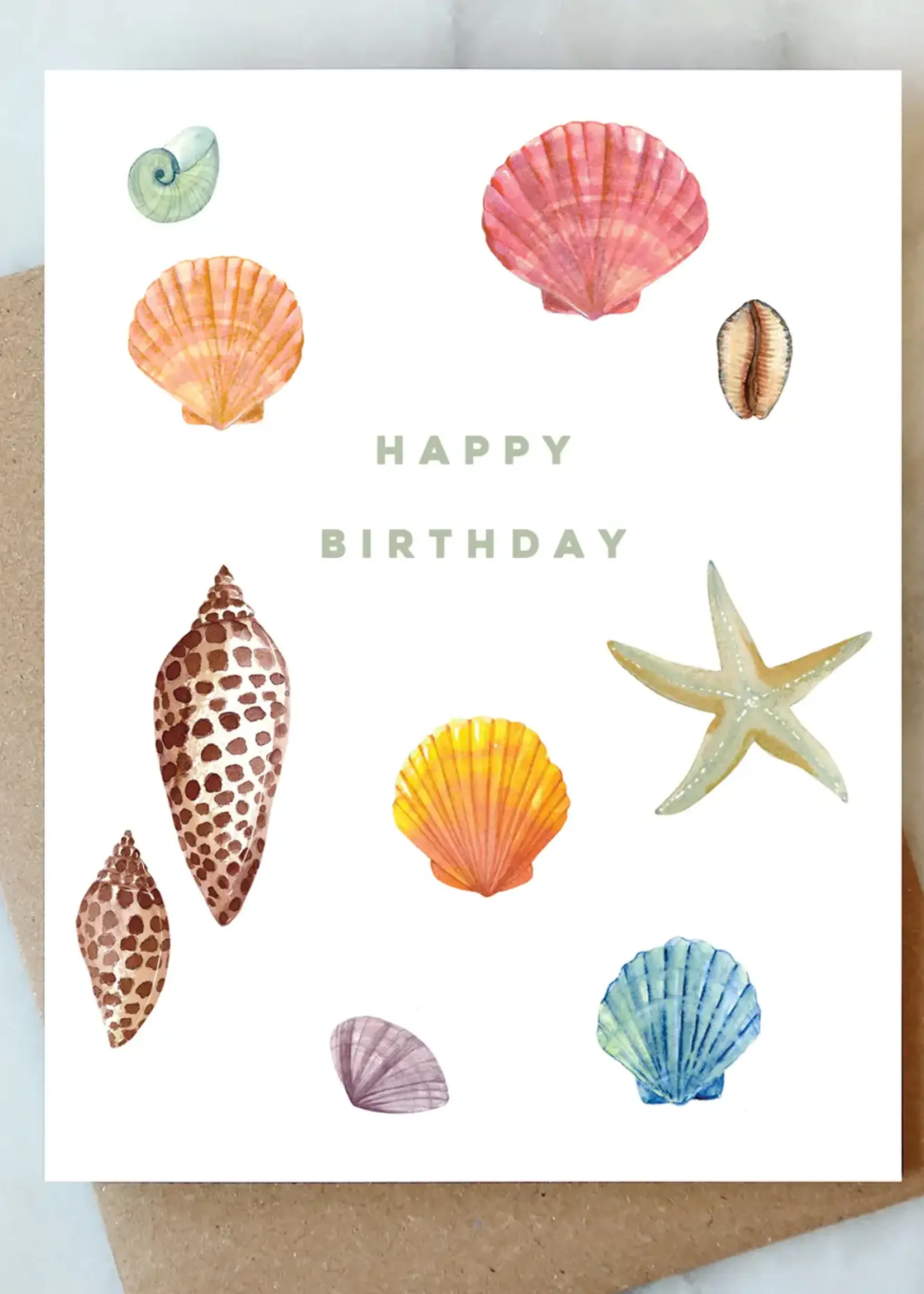 Shell Collector Birthday Greeting Card