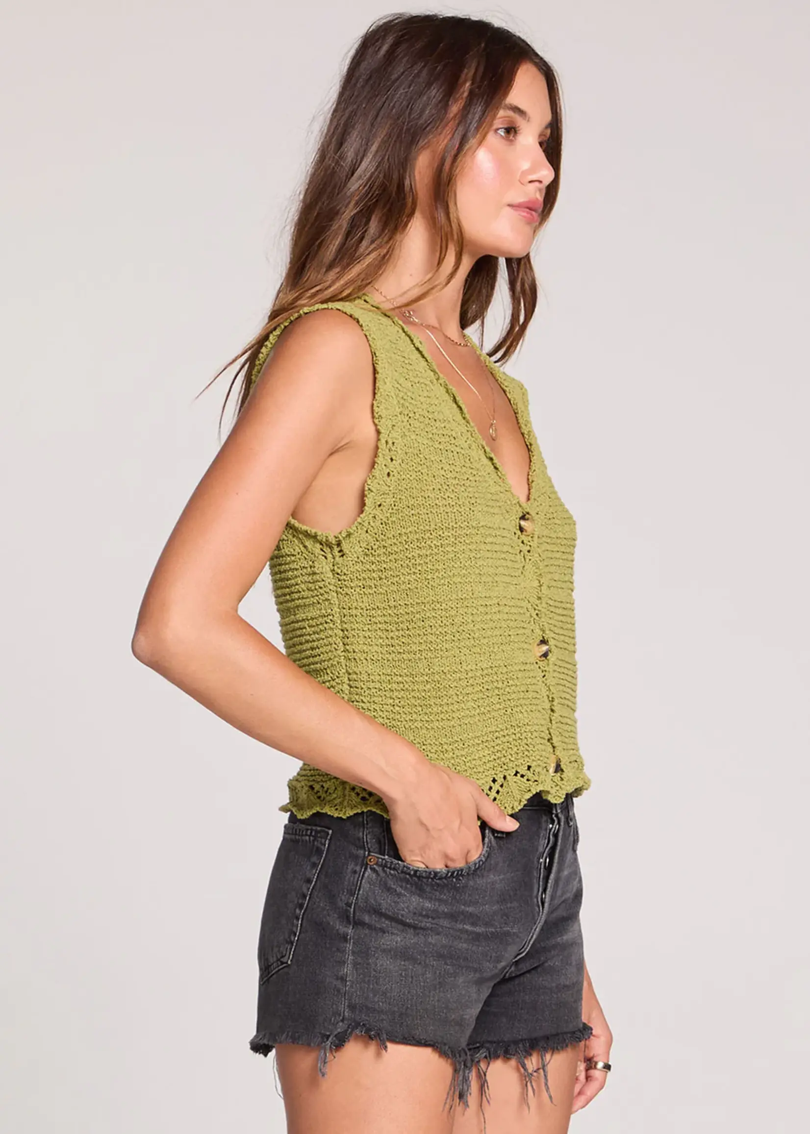 Saltwater Luxe Lissa Sweater Vest