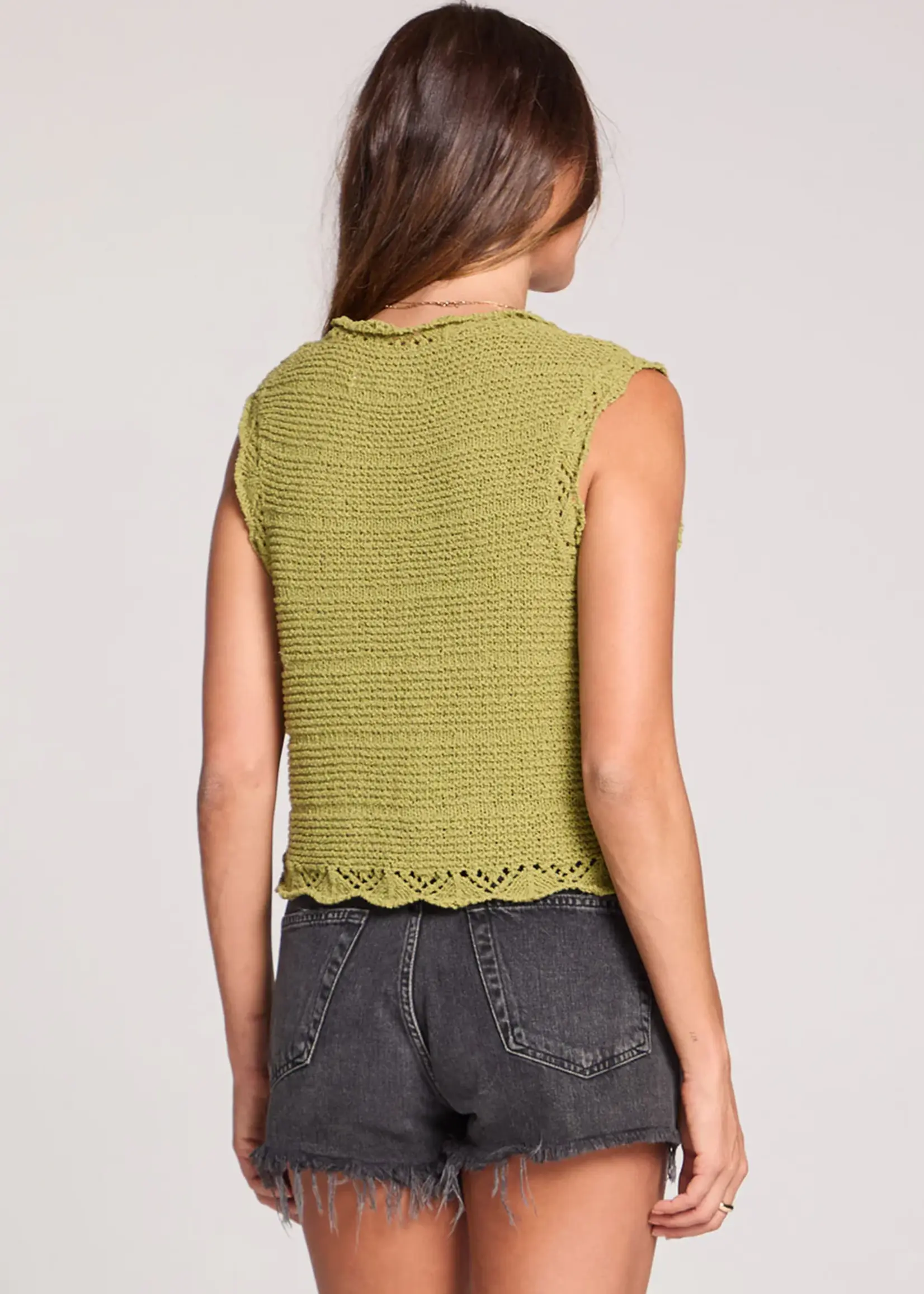 Saltwater Luxe Lissa Sweater Vest