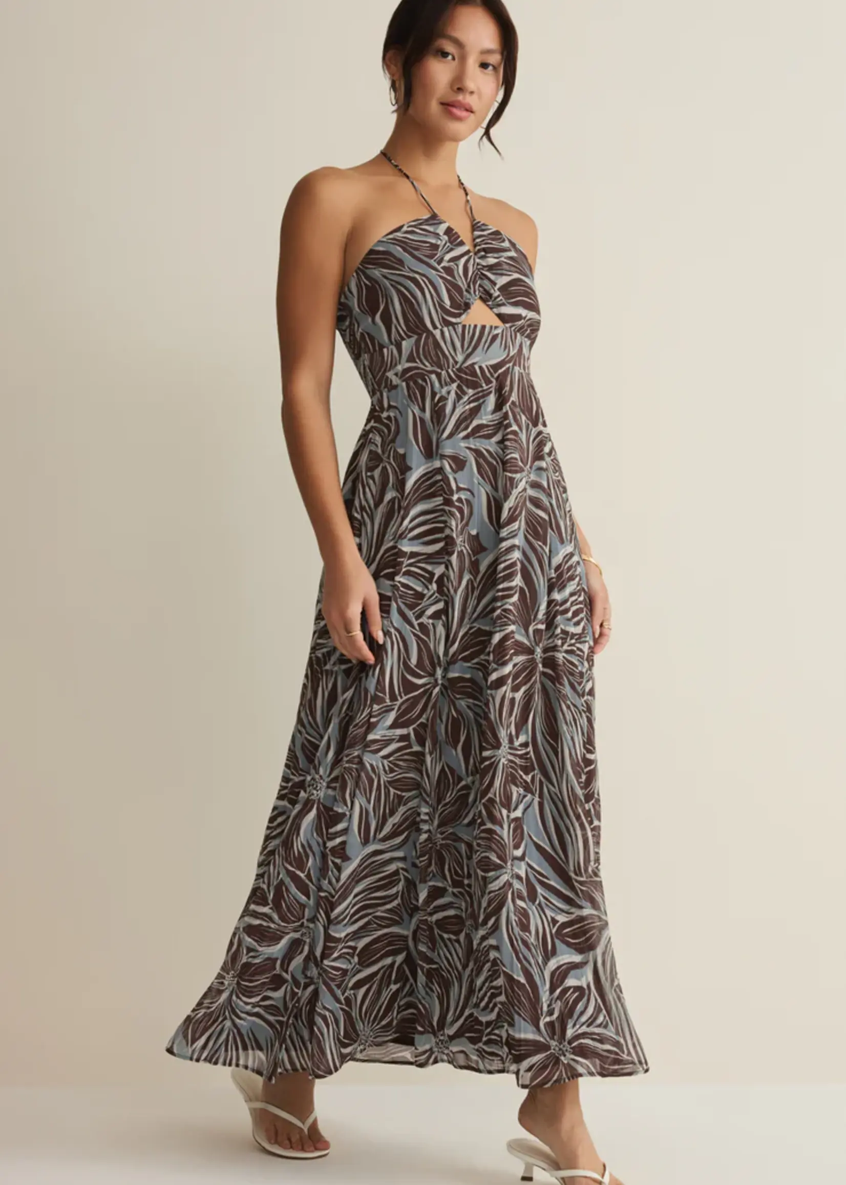 Z Supply Lanie Zinn Floral Maxi Dress
