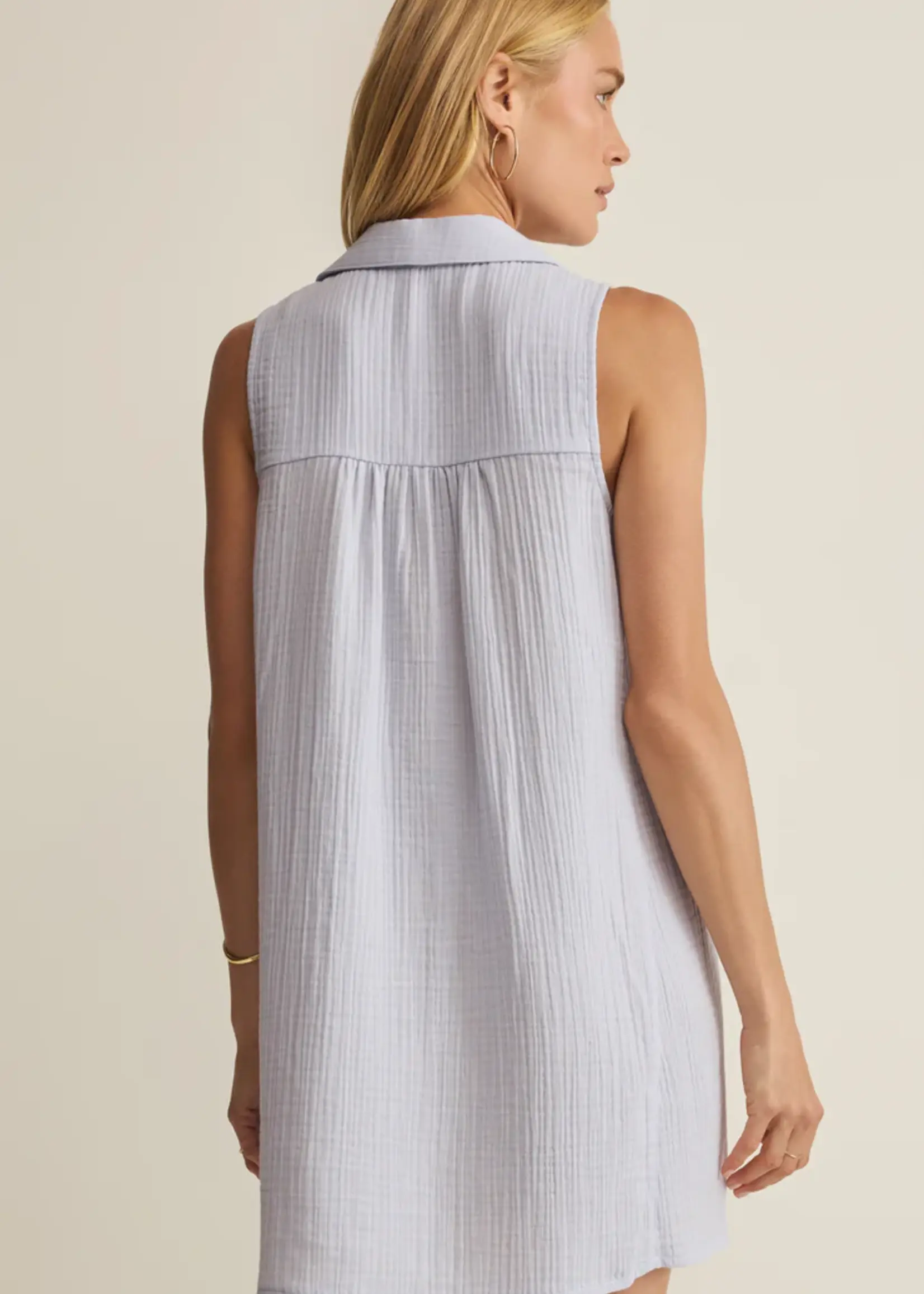Z Supply New Light Mini Dress