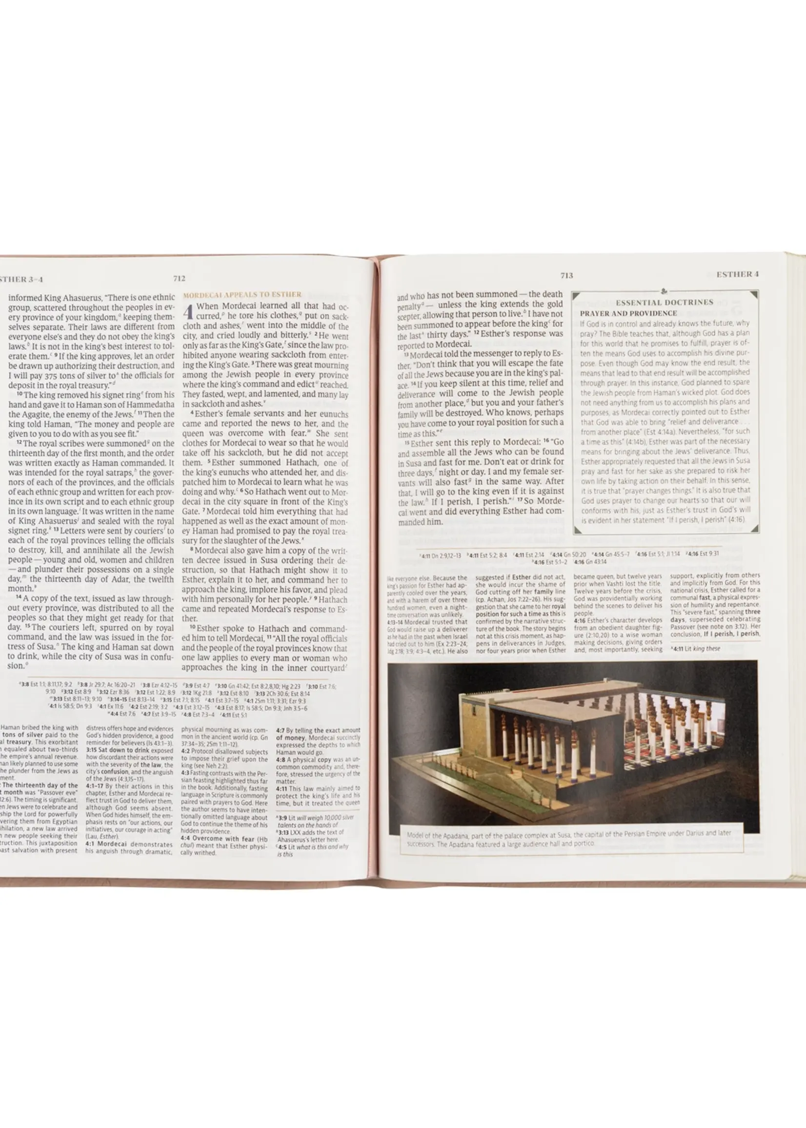 Csb Women's Study Bible: Sonora Theme