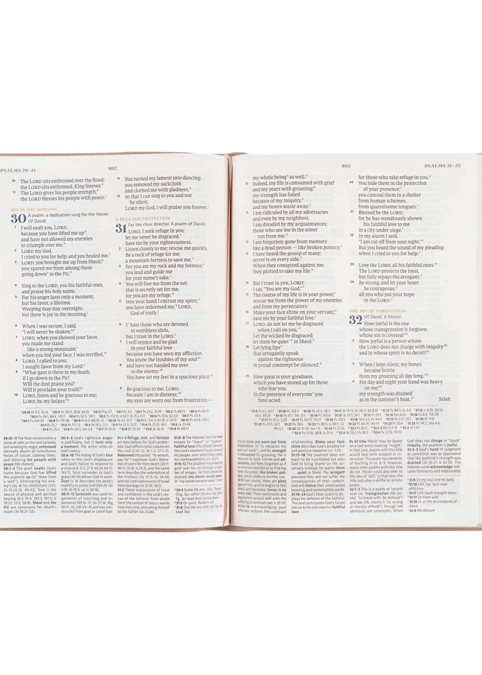 Csb Women's Study Bible: Sonora Theme