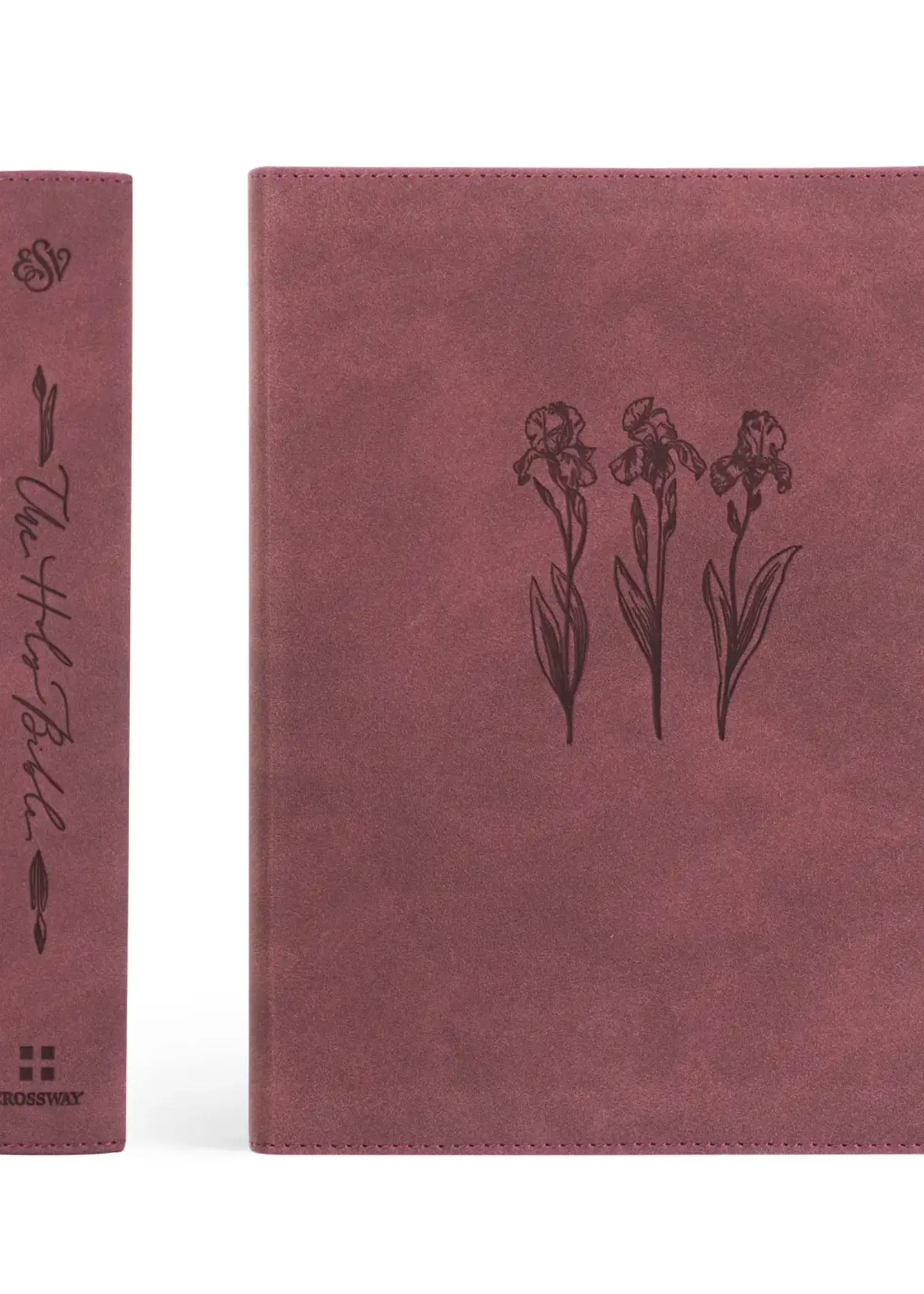 Esv Journaling Bible: Helena Theme