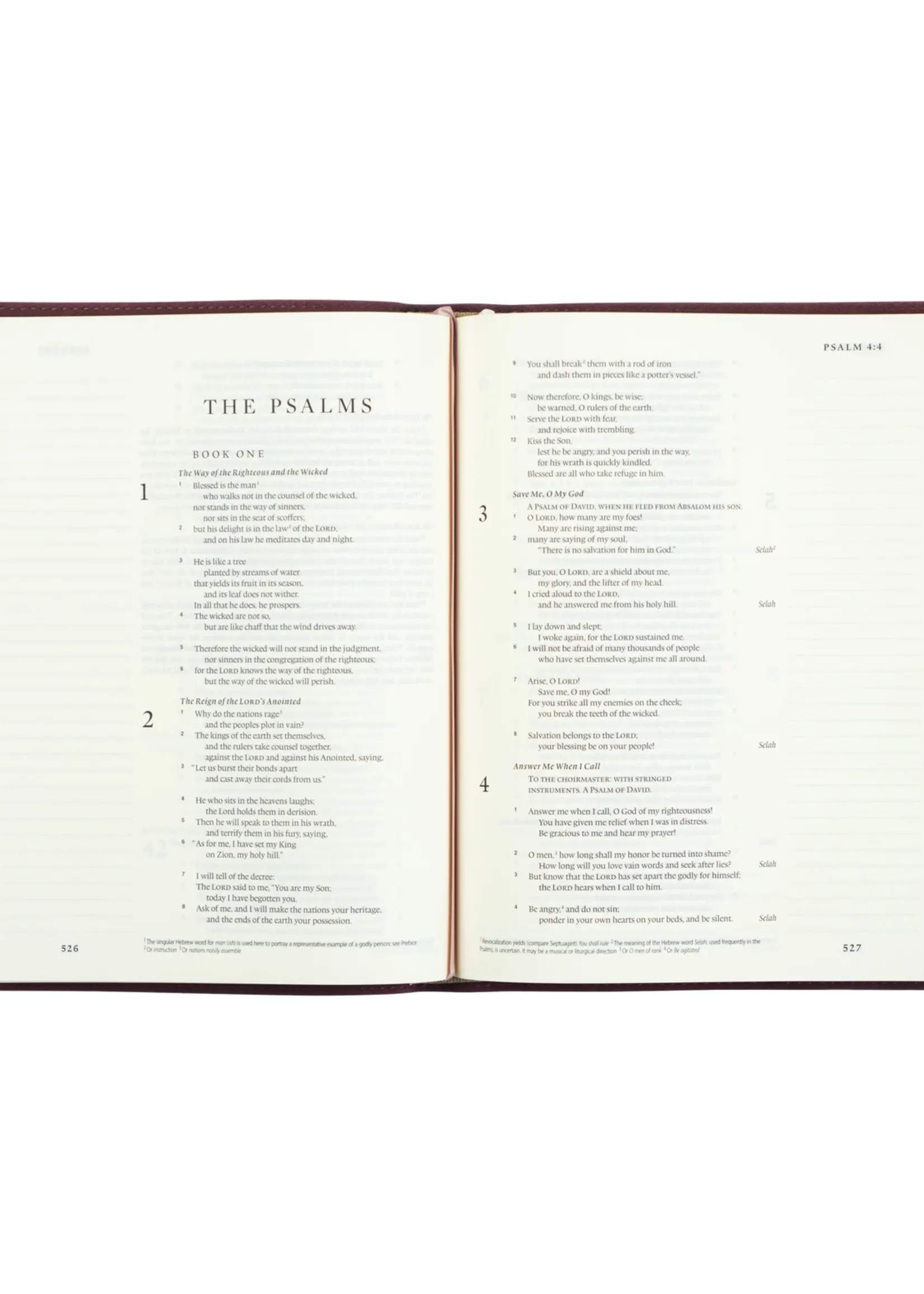 Esv Journaling Bible: Helena Theme