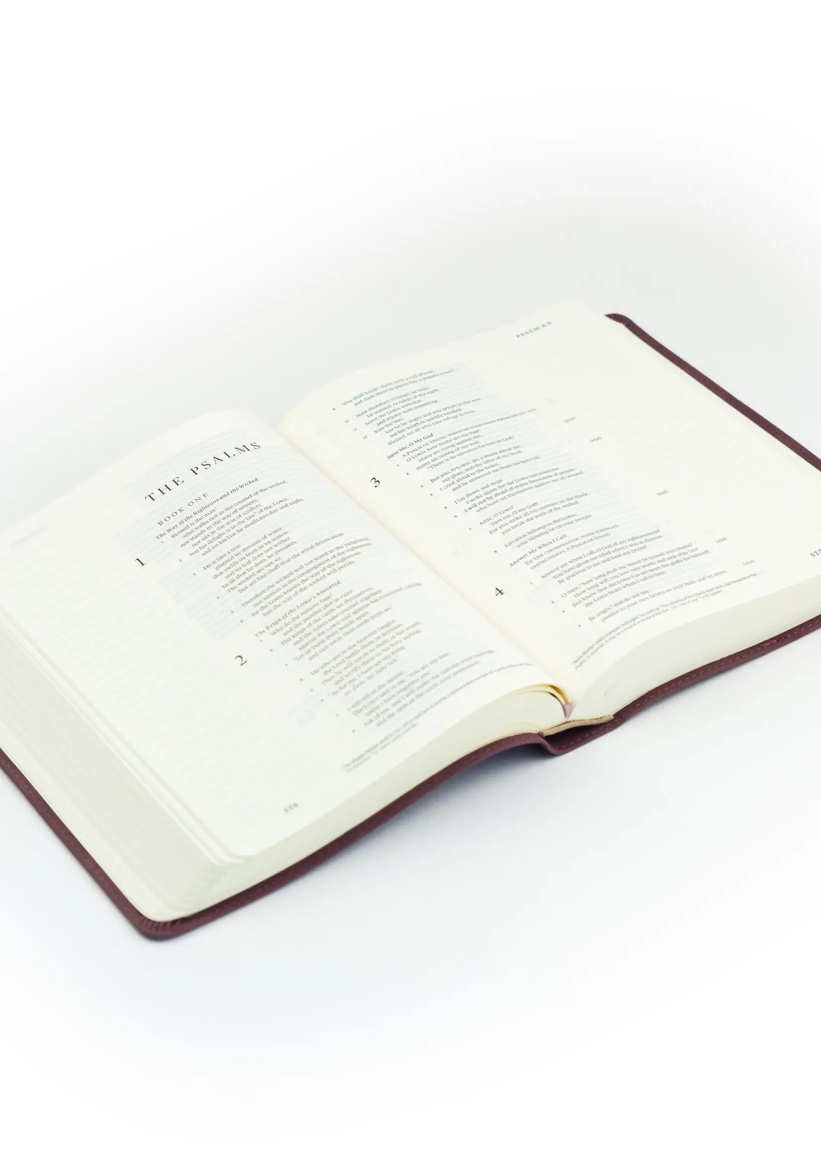 Esv Journaling Bible: Helena Theme