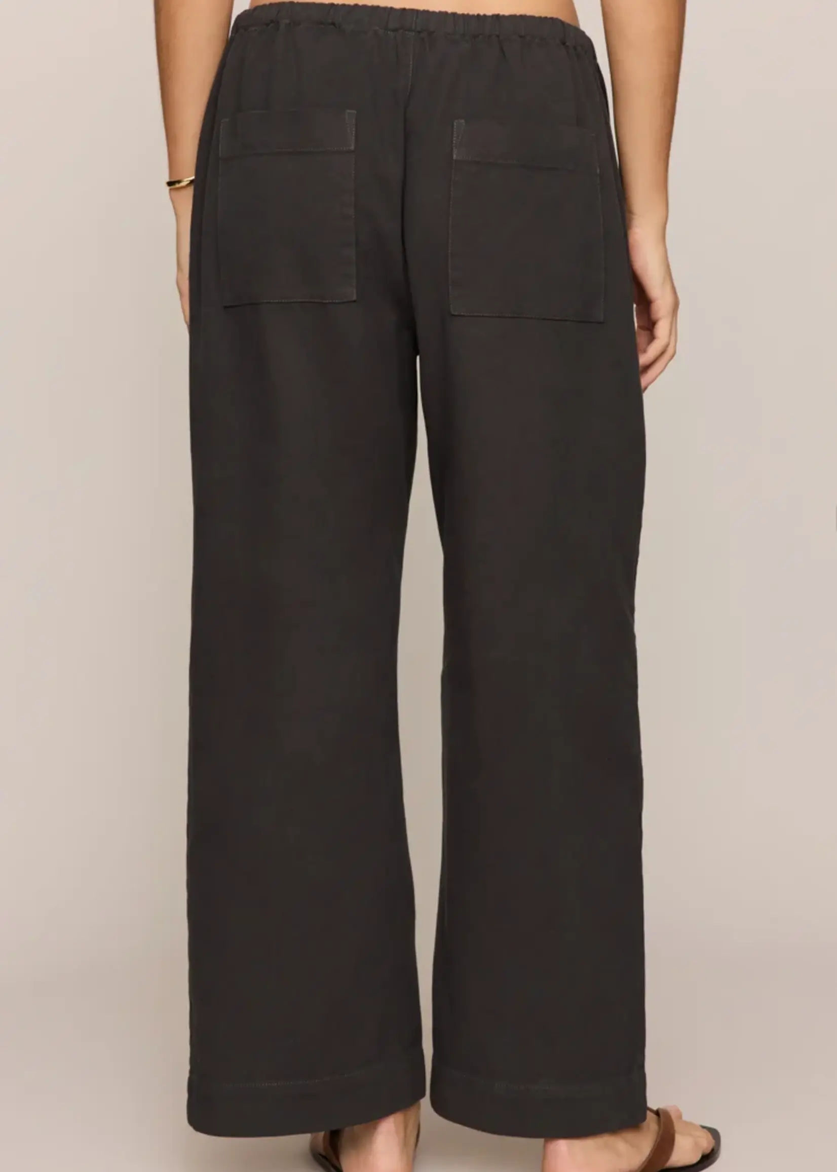 Z Supply Kit Twill Carpenter Pant