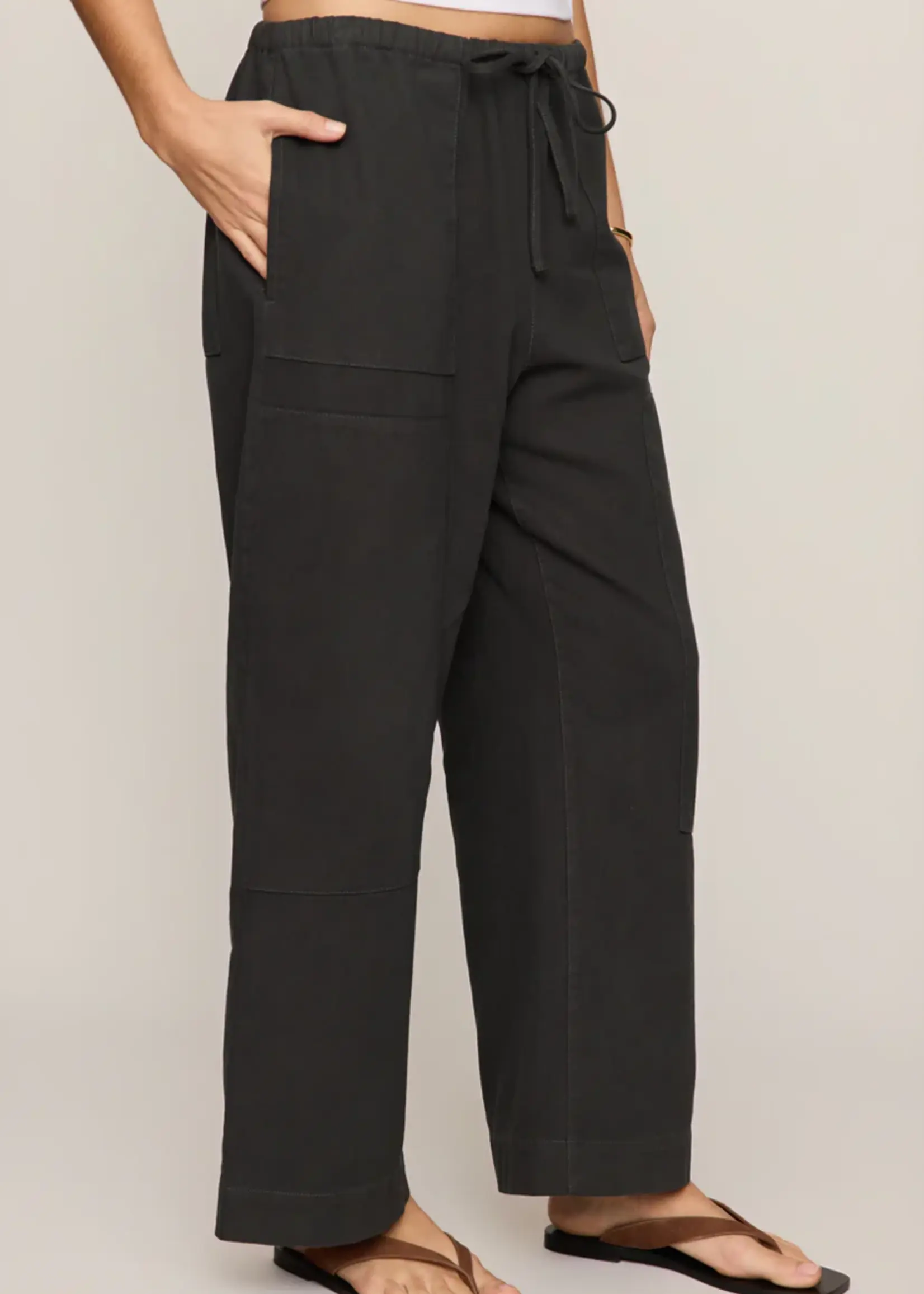 Z Supply Kit Twill Carpenter Pant