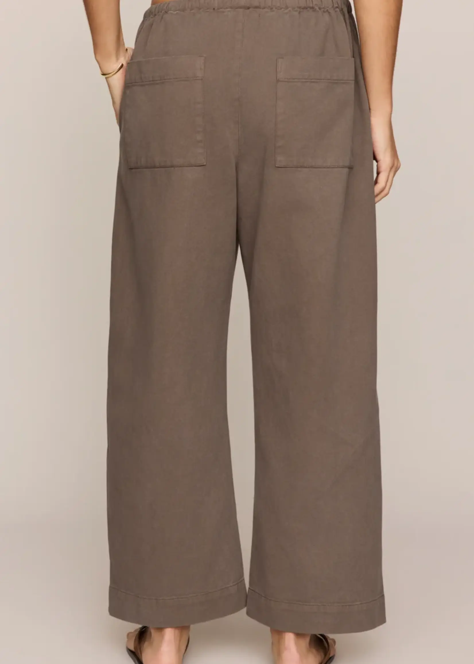 Z Supply Kit Twill Carpenter Pant