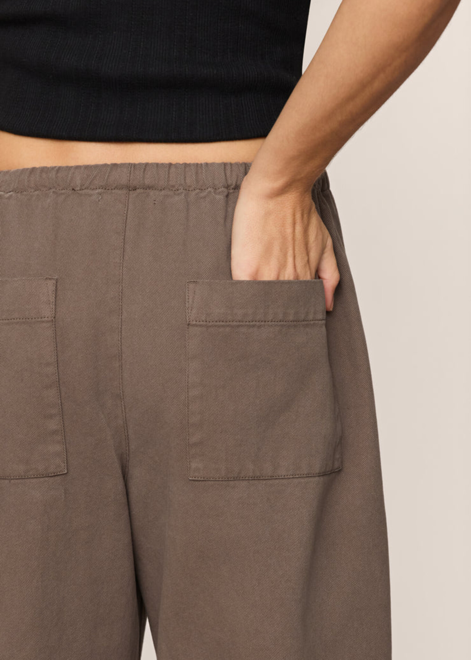 Z Supply Kit Twill Carpenter Pant