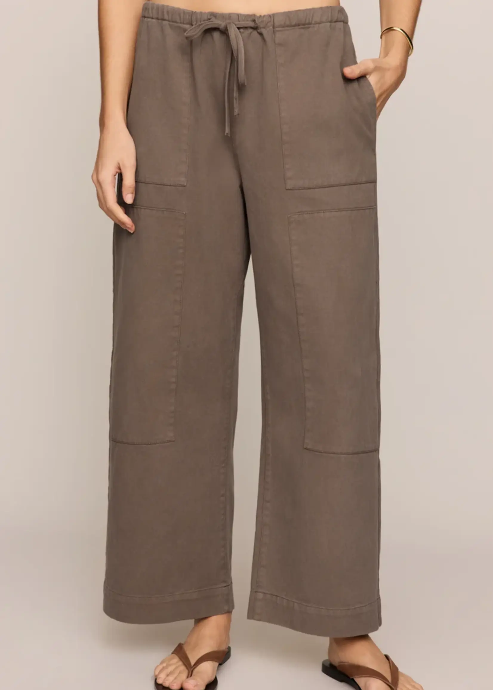 Z Supply Kit Twill Carpenter Pant