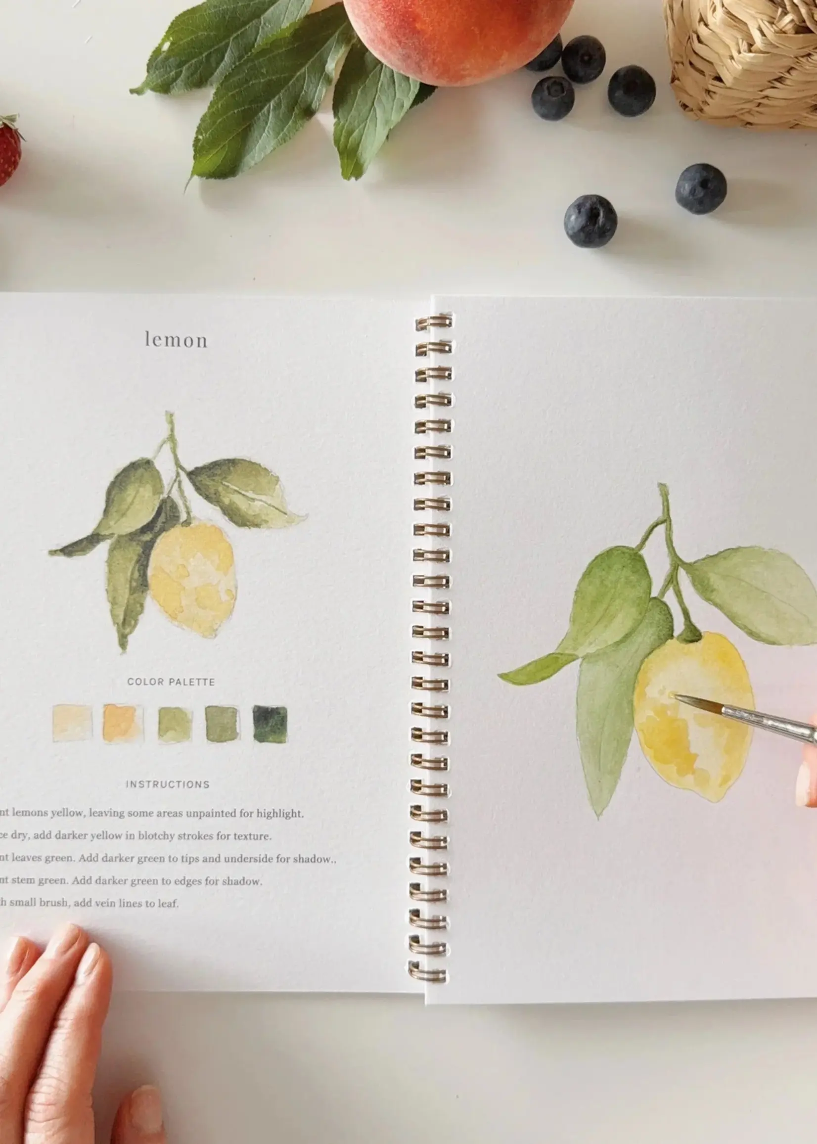 Fruit Watercolor Workbook