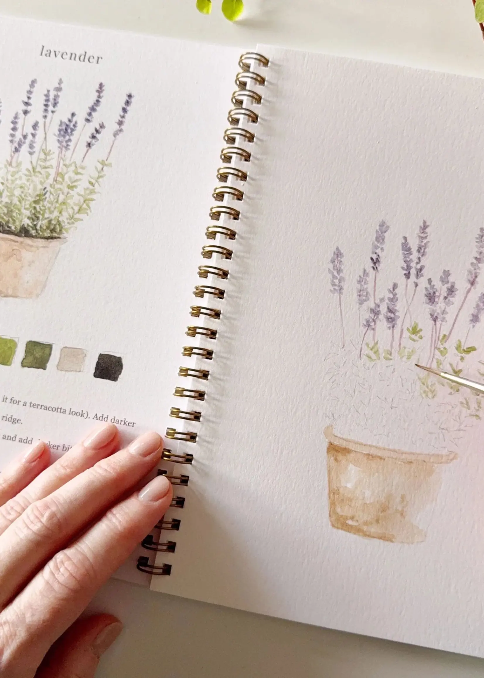 Garden Watercolor Workbook