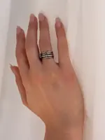 Alco Vault Ring Silver