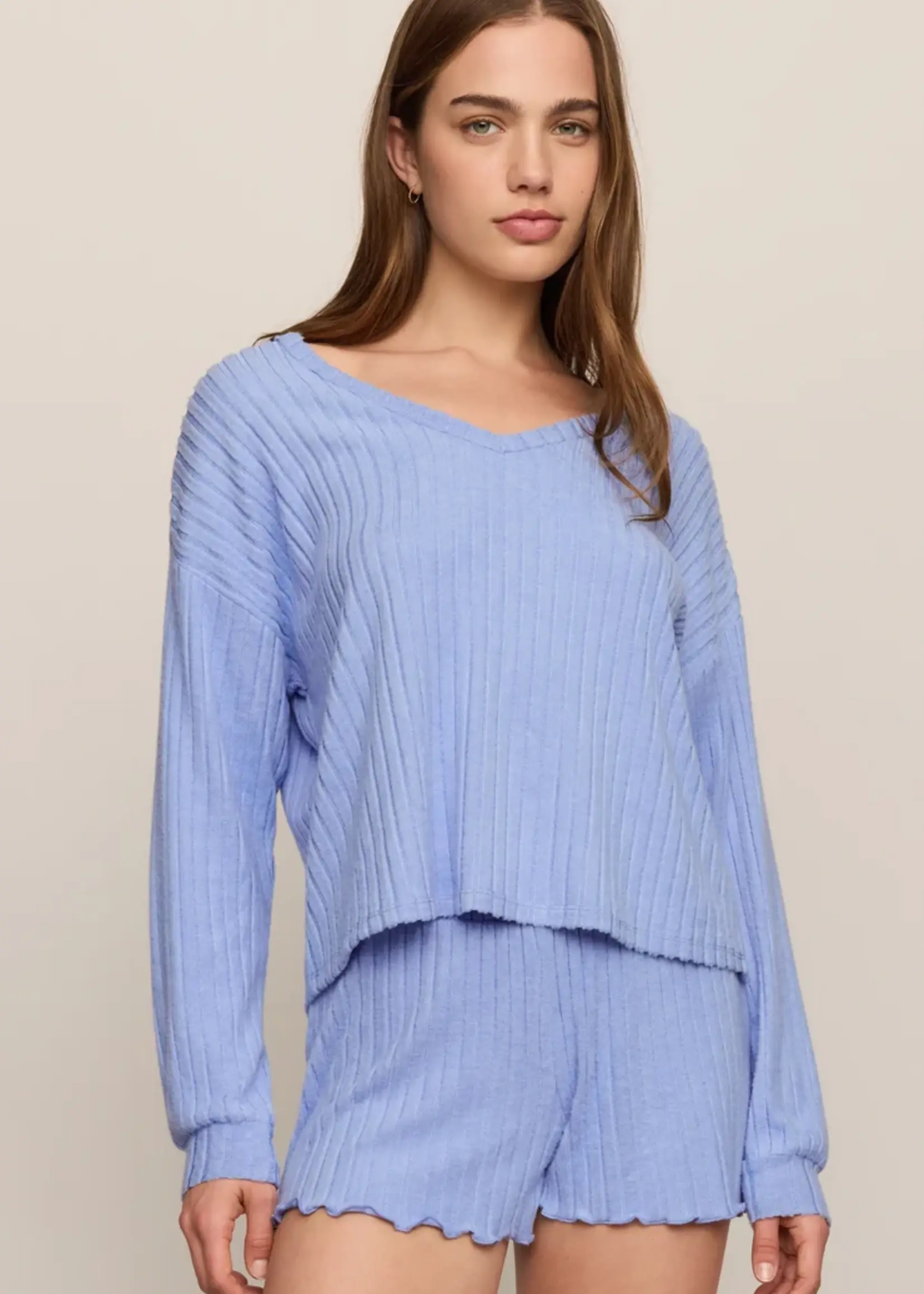 Z Supply Daydreamer Soft V LS Top