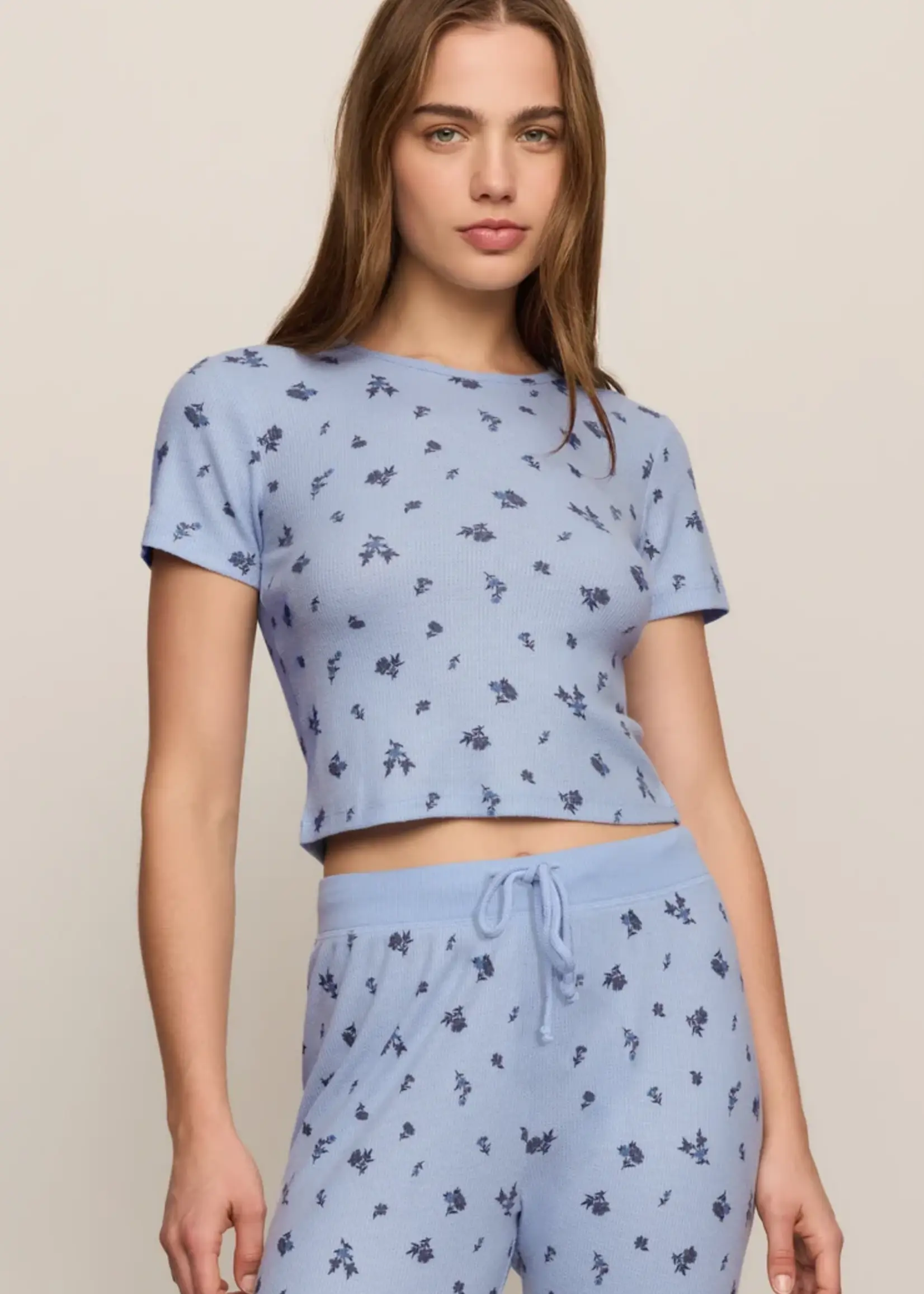 Z Supply Ditsy Tee