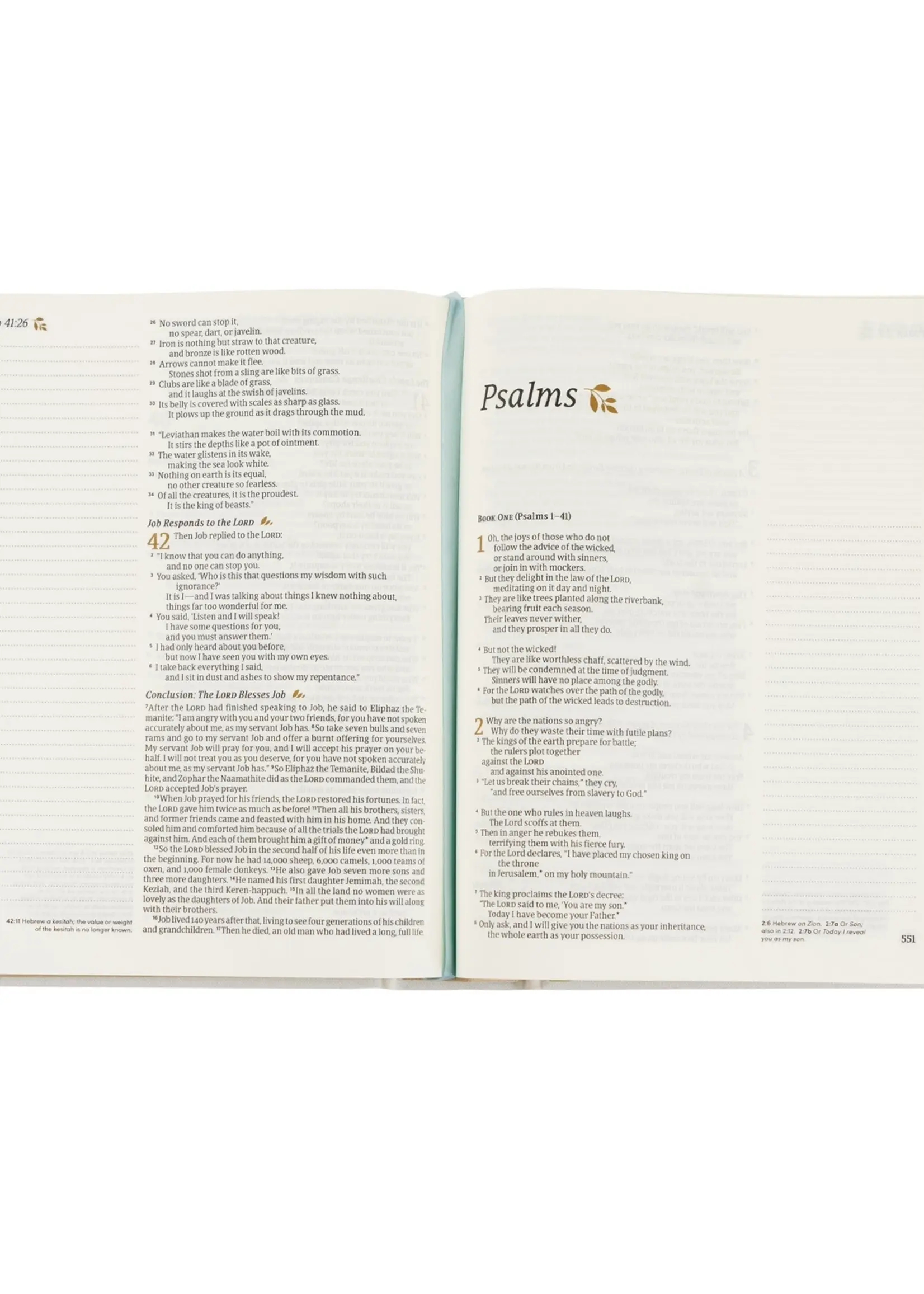 Nlt Notetaking Bible: Lisbon Theme