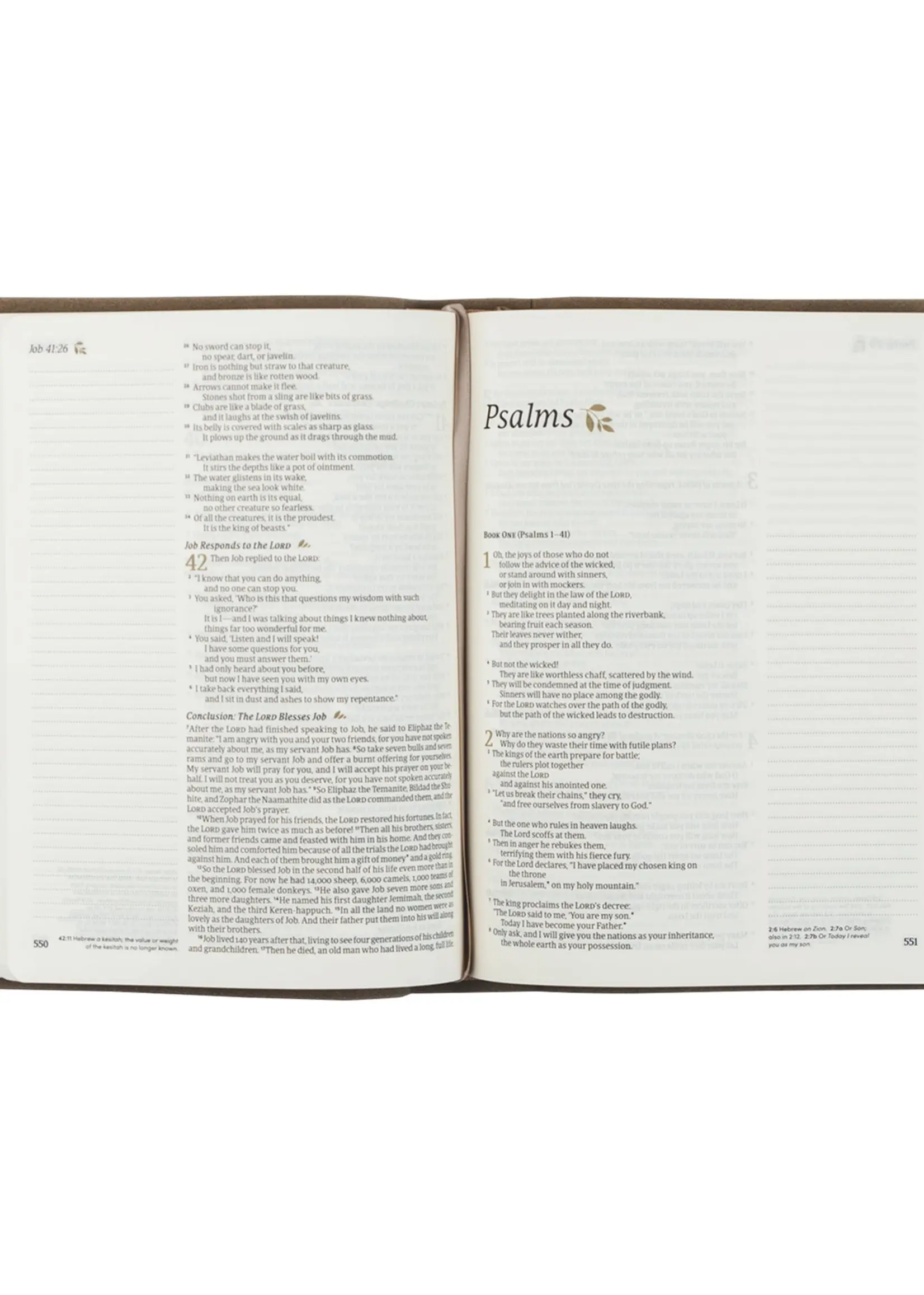 Nlt Notetaking Bible : Marlo Theme