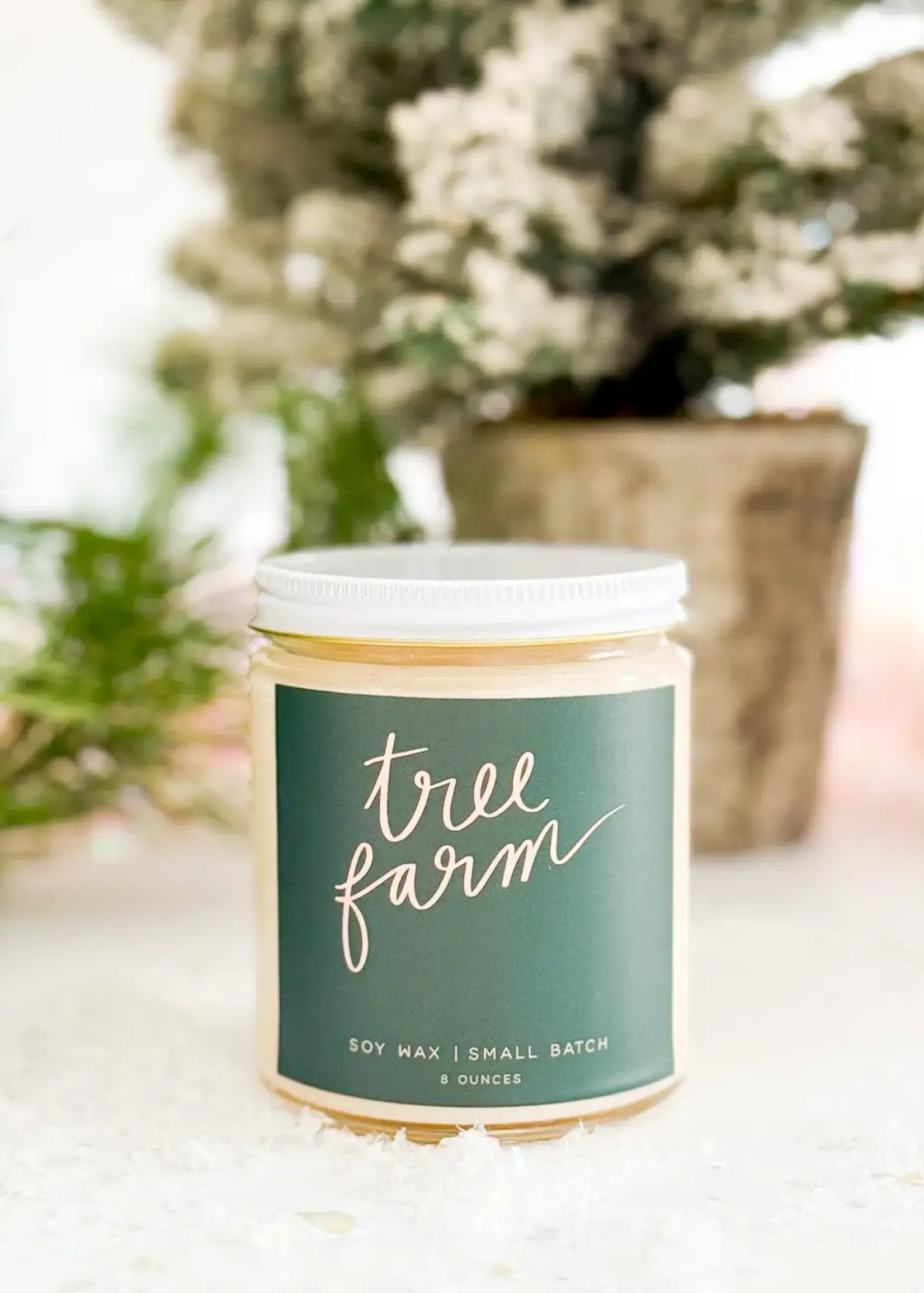Tree Farm: 8 oz Soy Wax