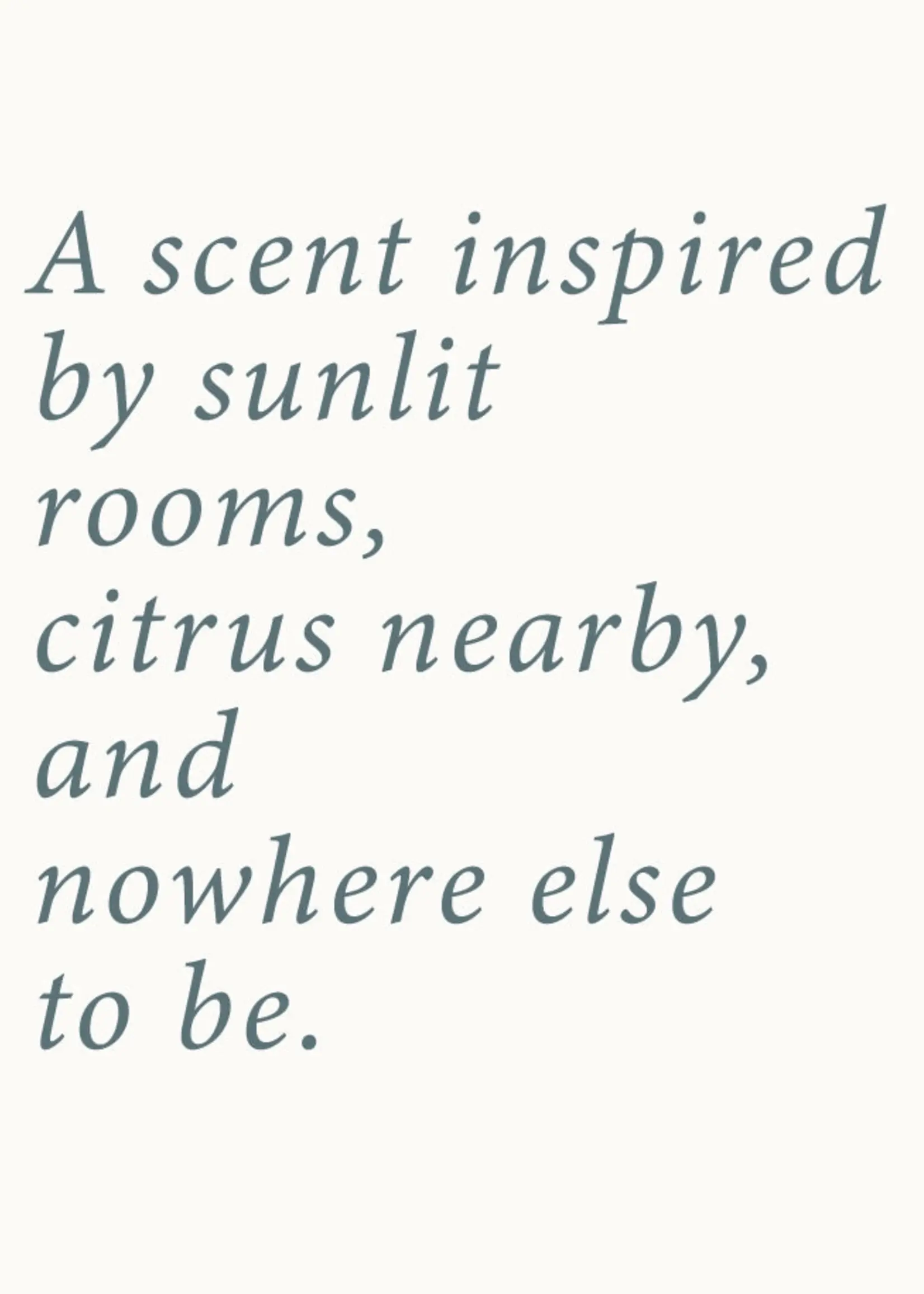 Beach House: 9 oz Soy Wax