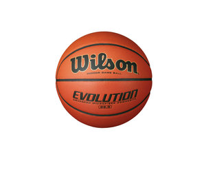 Wilson Evolution Basketball