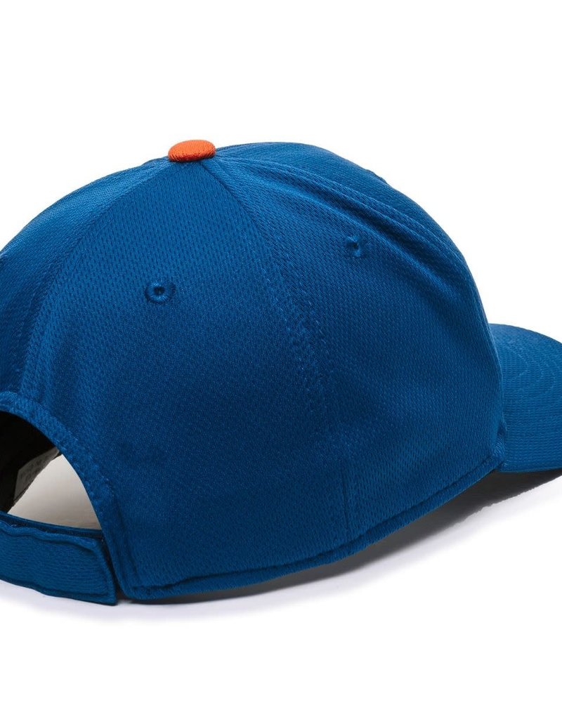  @Mets Ball cap doghouse