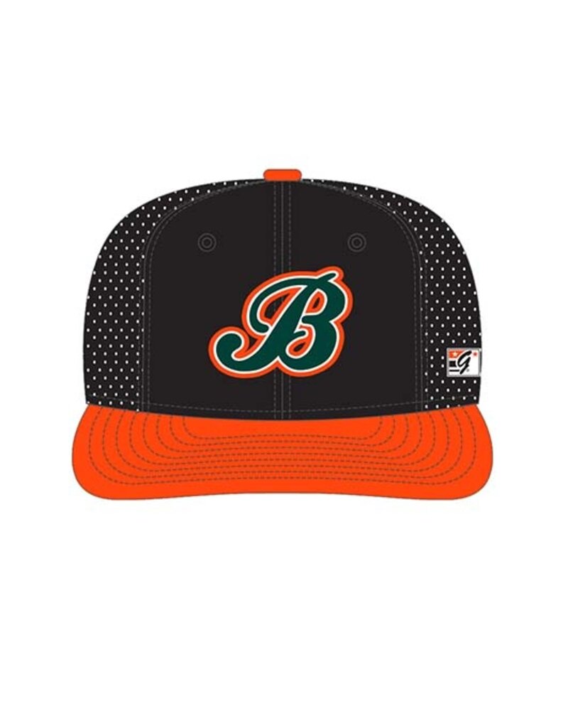 Barnstormers TheGame Perforated GameChanger Low Pro Hat