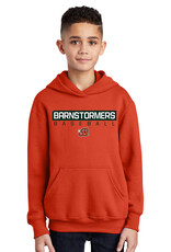 Barnstormers BASEBALL Youth Fleece Hooded Sweatshirt-Orange