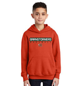 Barnstormers BASEBALL Youth Fleece Hooded Sweatshirt-Orange