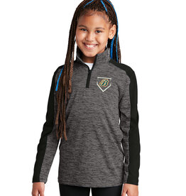 Barnstormers Home Plate Youth 1/4 Zip - Grey/Black