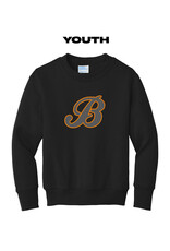 Barnstormers Baseball Youth Fleece Crewneck Sweatshirt-Black