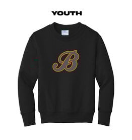 Barnstormers Baseball Youth Fleece Crewneck Sweatshirt-Black