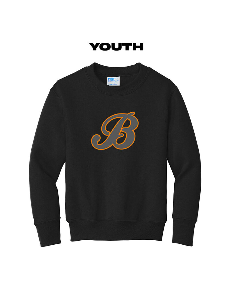 Barnstormers Baseball Youth Fleece Crewneck Sweatshirt-Black
