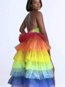 Tulle Bustle Skirt Rainbow Pride
